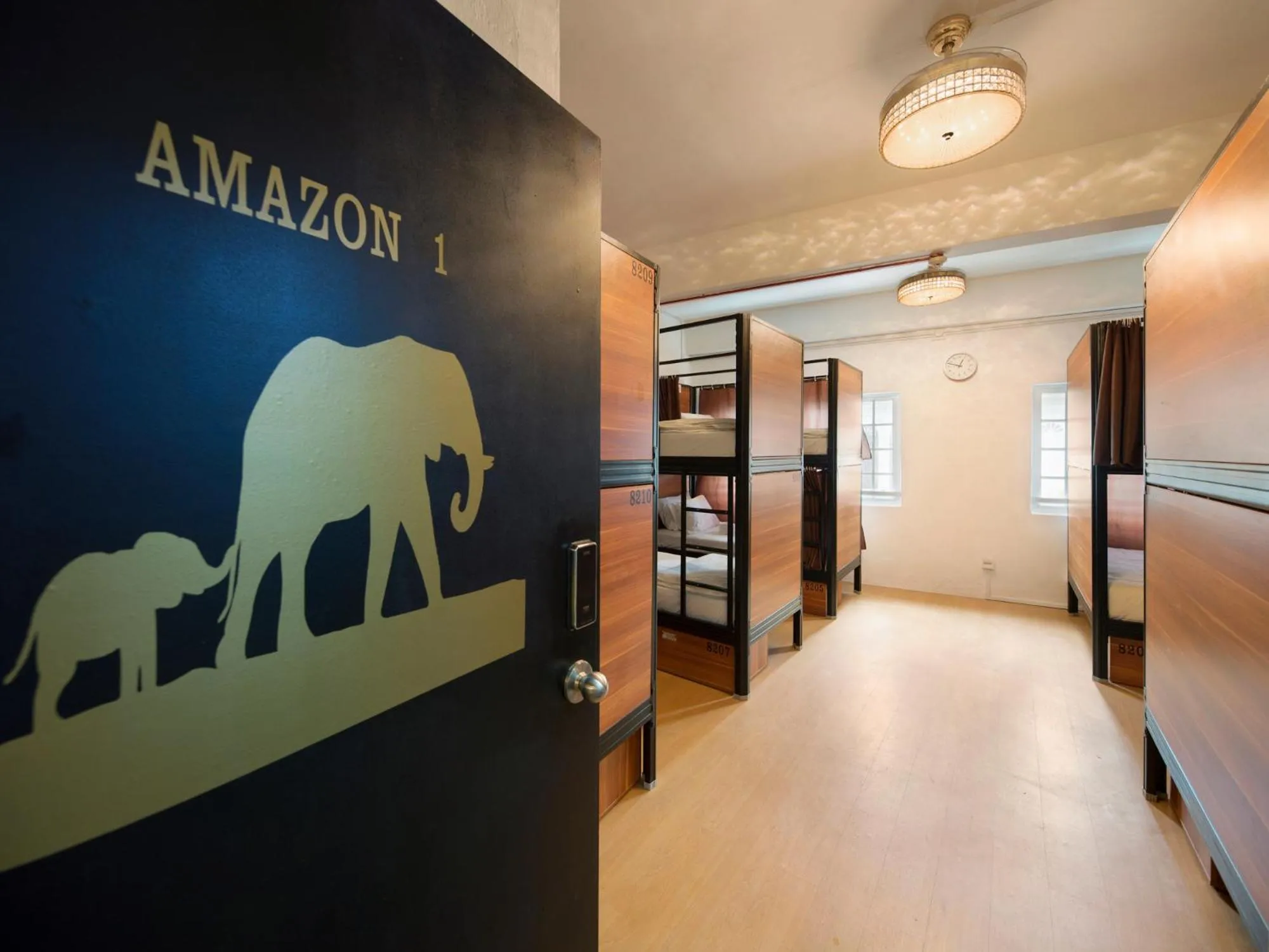 Photo of the whole room, Bed in 7 Wonders Hostel at Upper Dickson