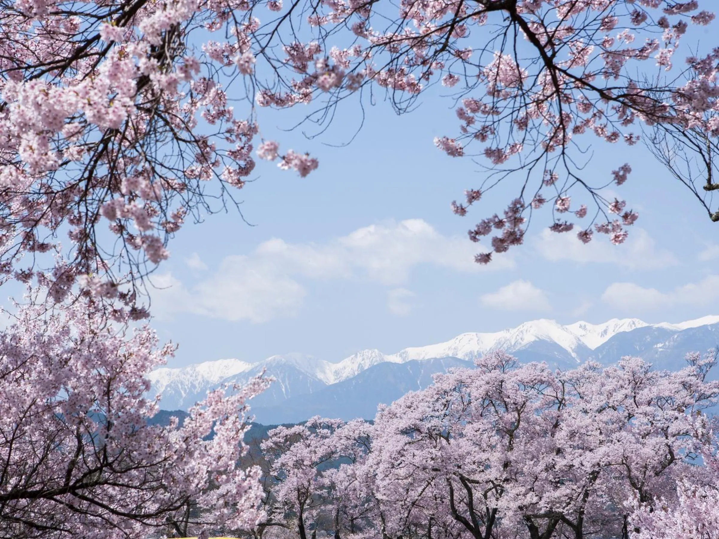 Nearby landmark in Yoshinotei
