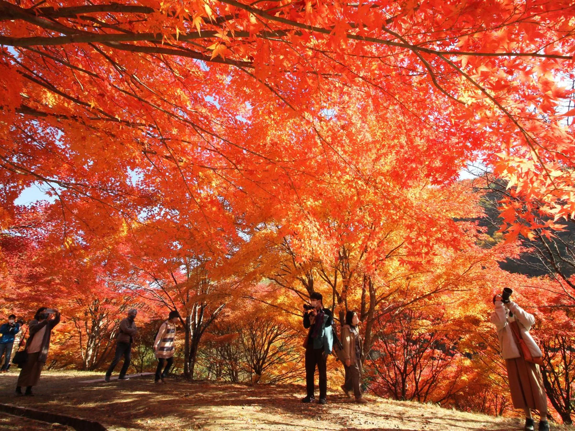 Nearby landmark in Yoshinotei
