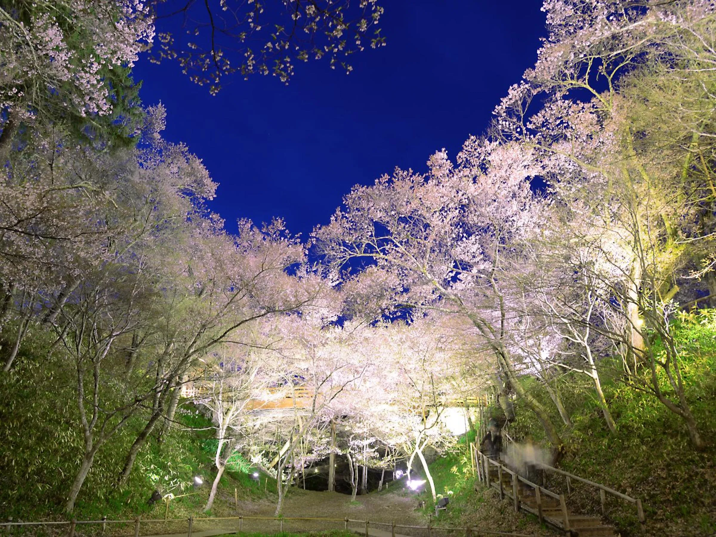 Nearby landmark in Yoshinotei