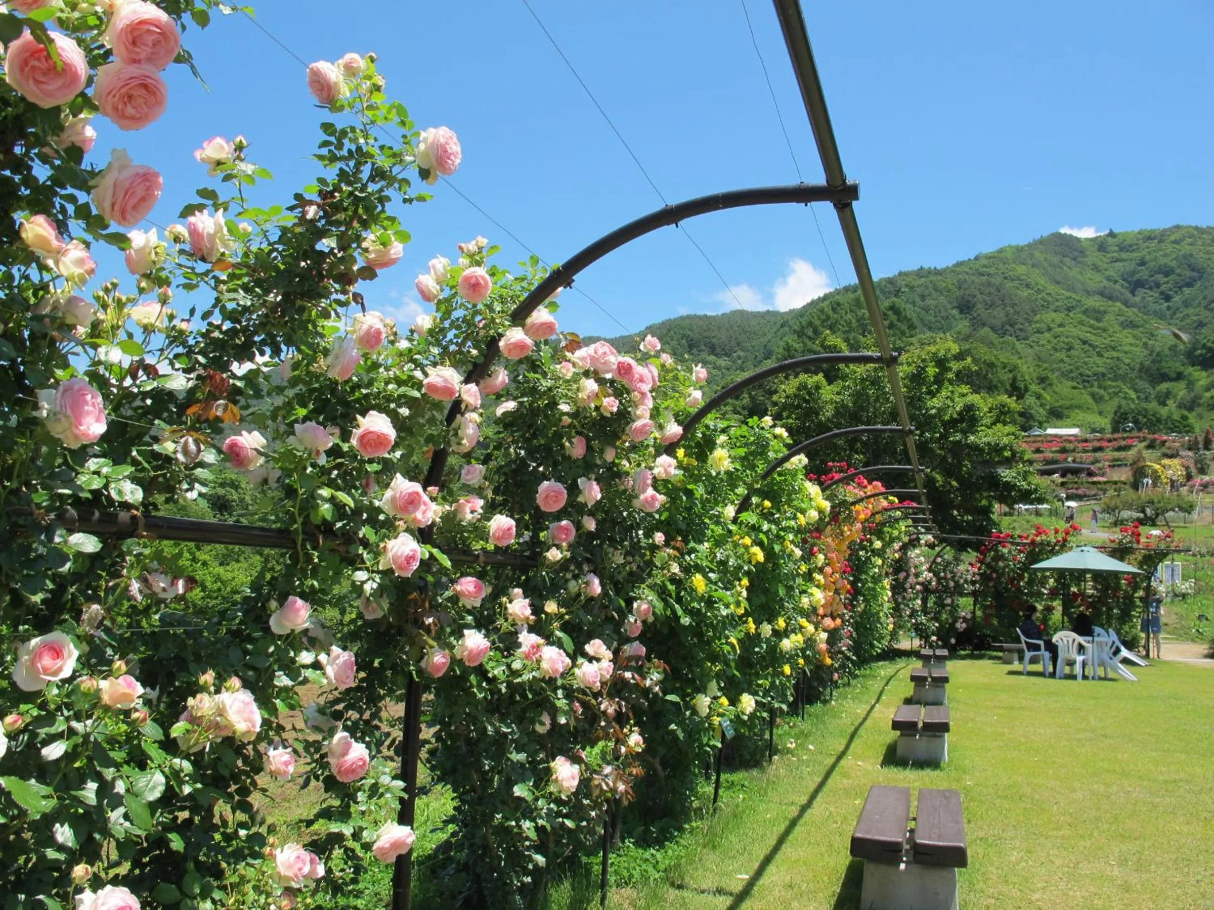 Nearby landmark in Yoshinotei