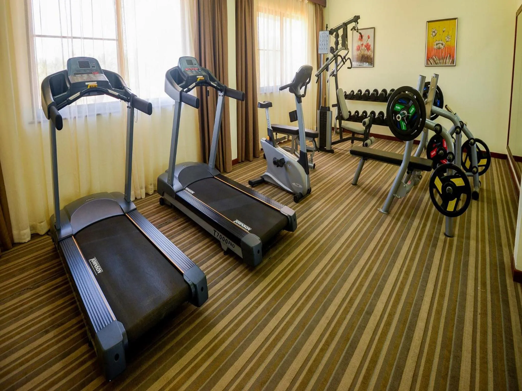 Fitness centre/facilities in Raphael's Hotel