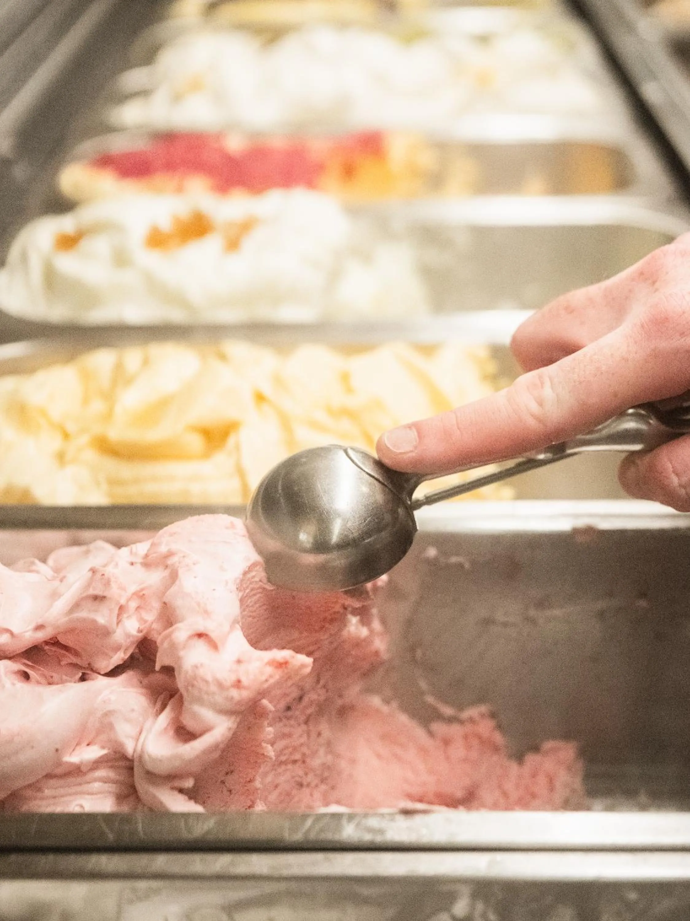 Food and drinks in Il Castagno