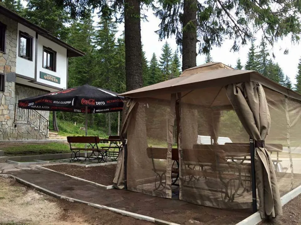 Garden in Семеен хотел Гингеръ