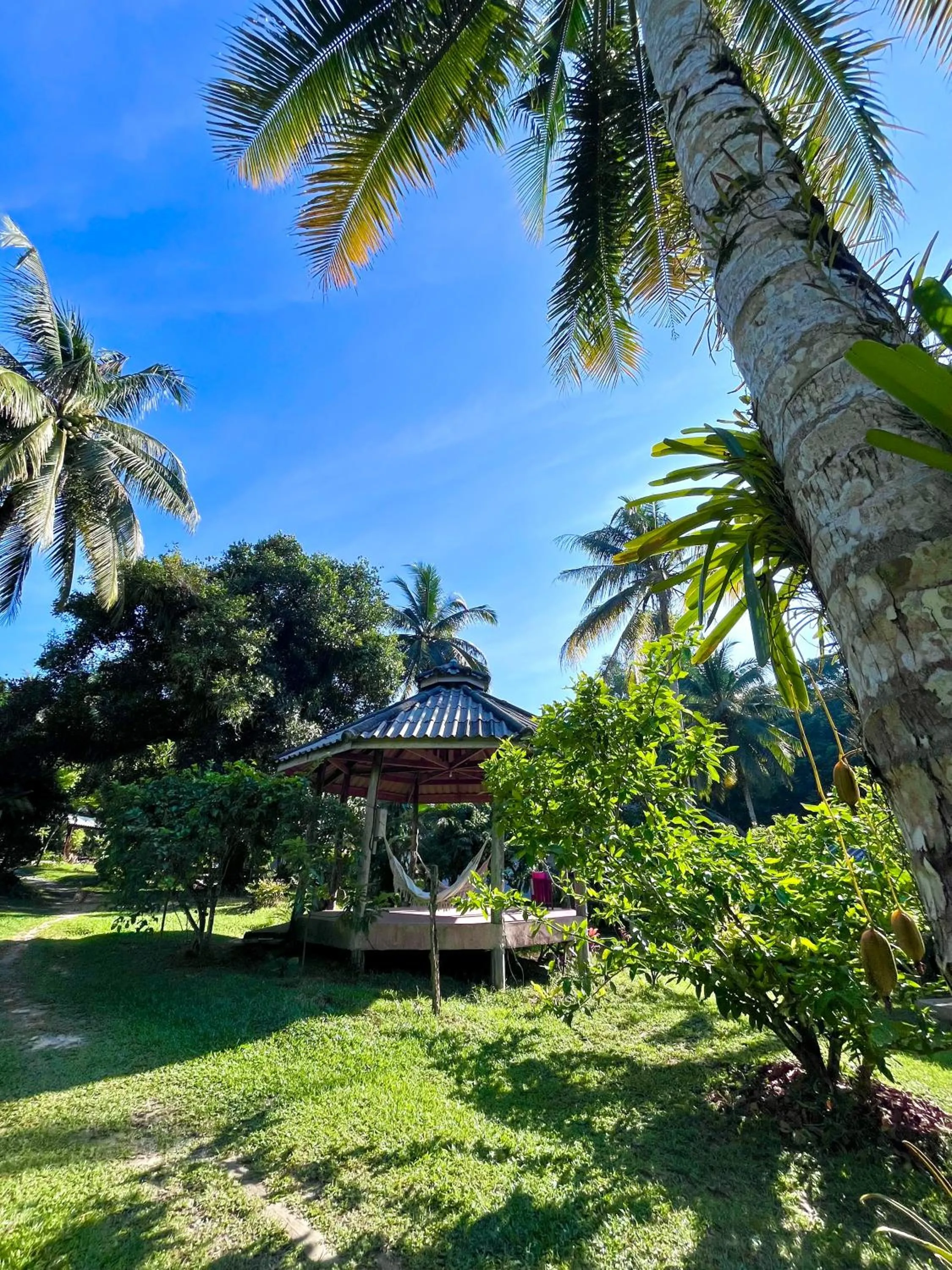 Garden in Eve house koh kood