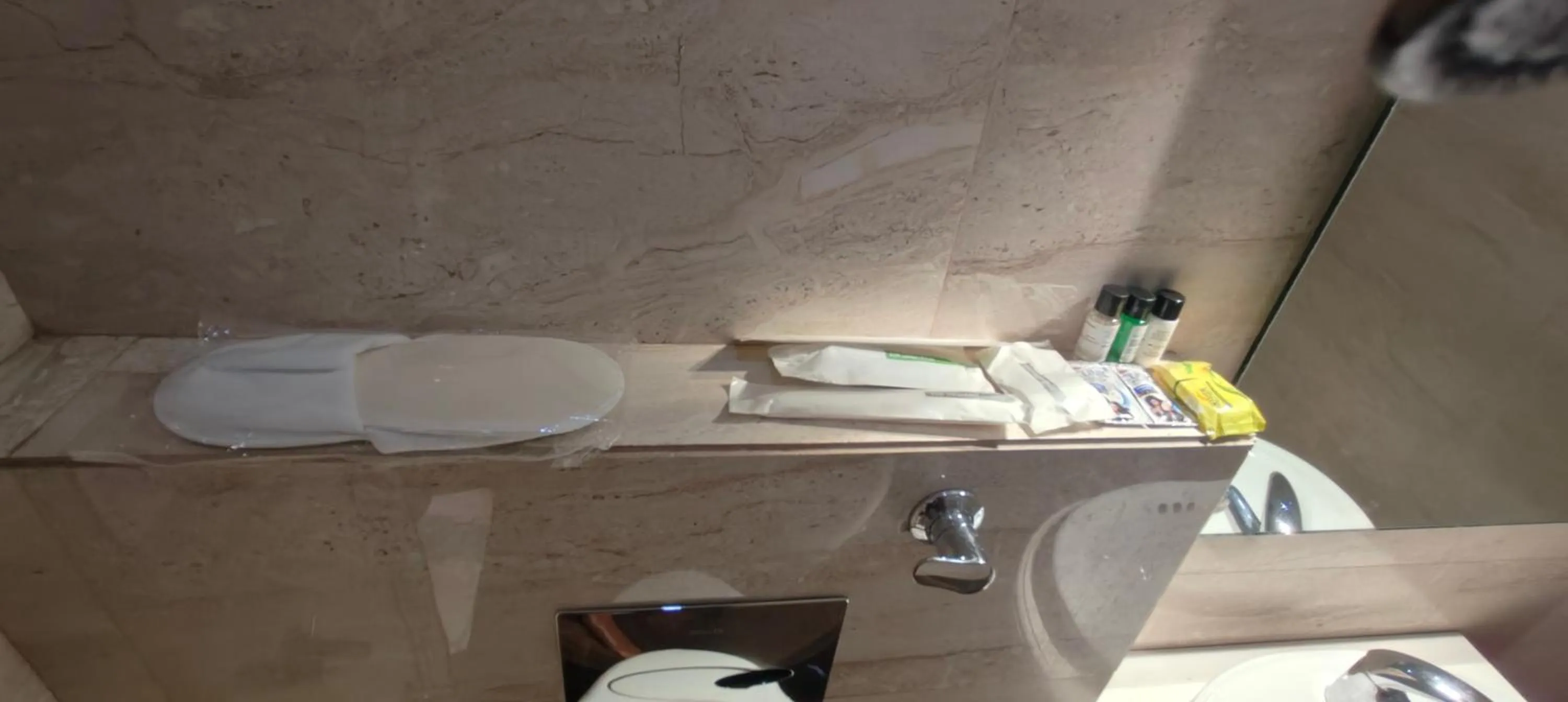 Toilet in Hotel Taj Heights