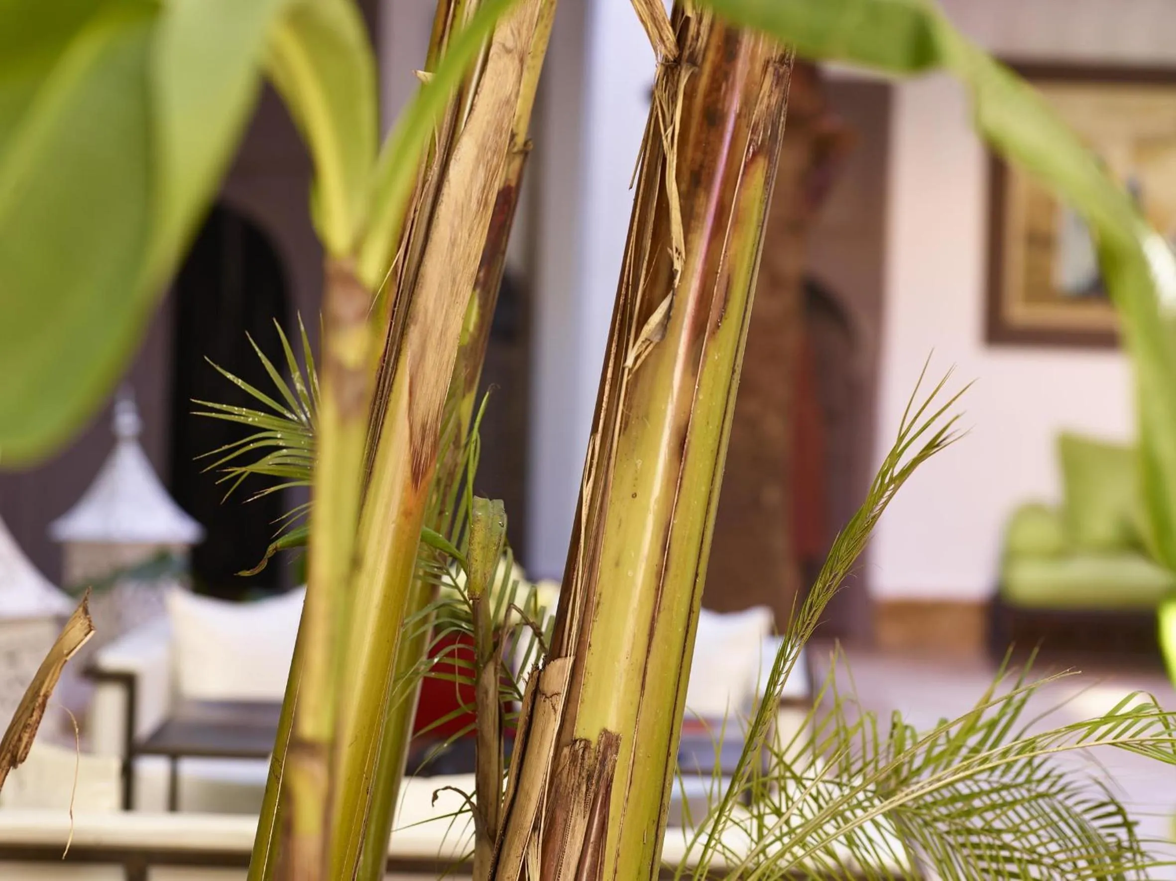 Other in Riad Les Jardins d'Henia