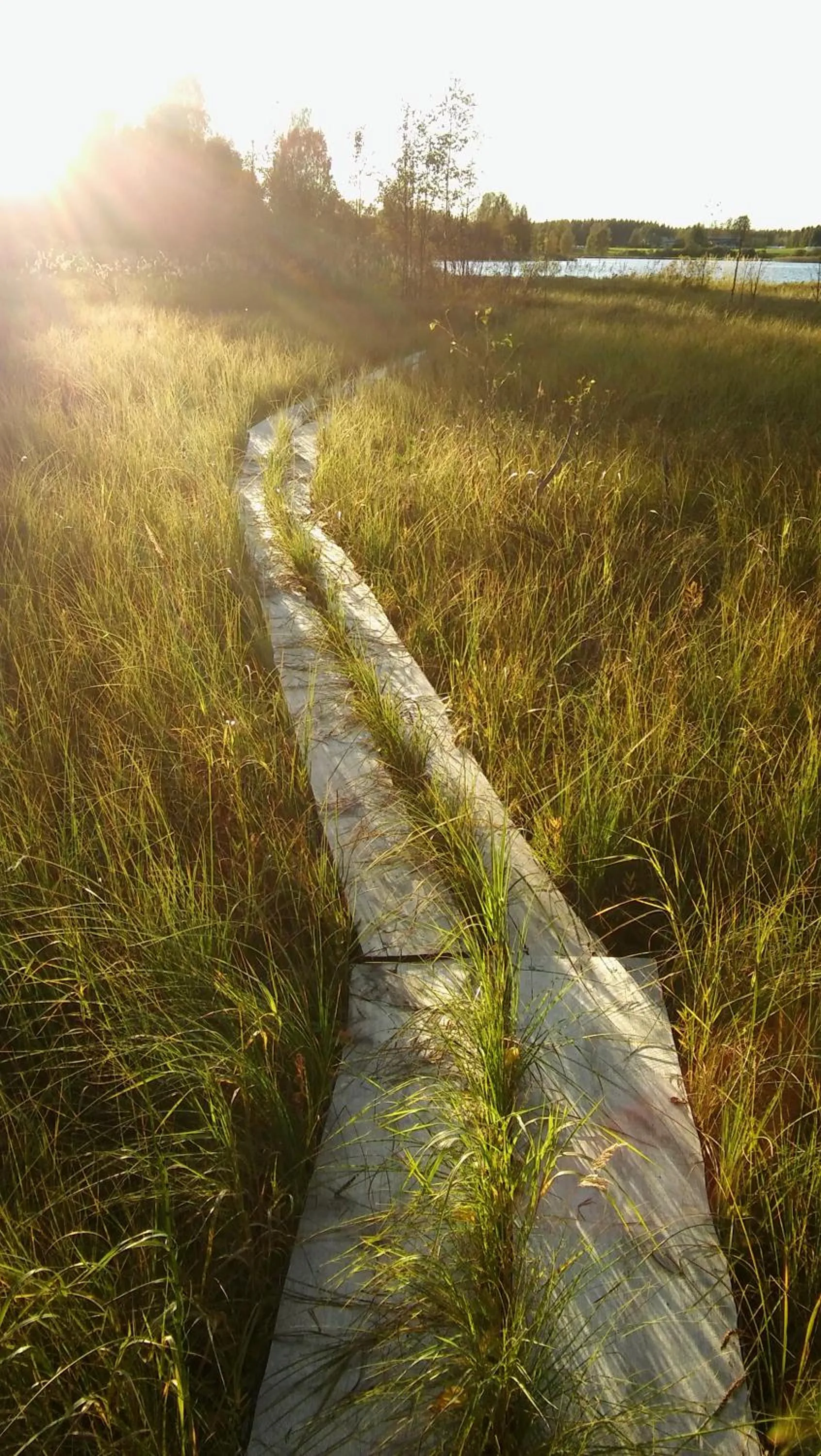 Neighbourhood in Karkausmäen Kammari