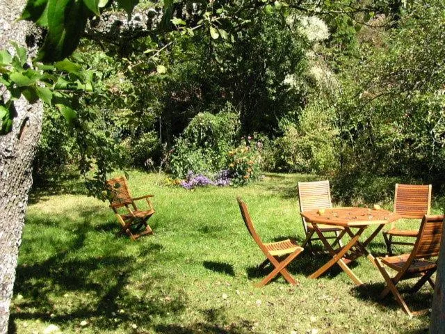 Garden in Casa Grande De Trives