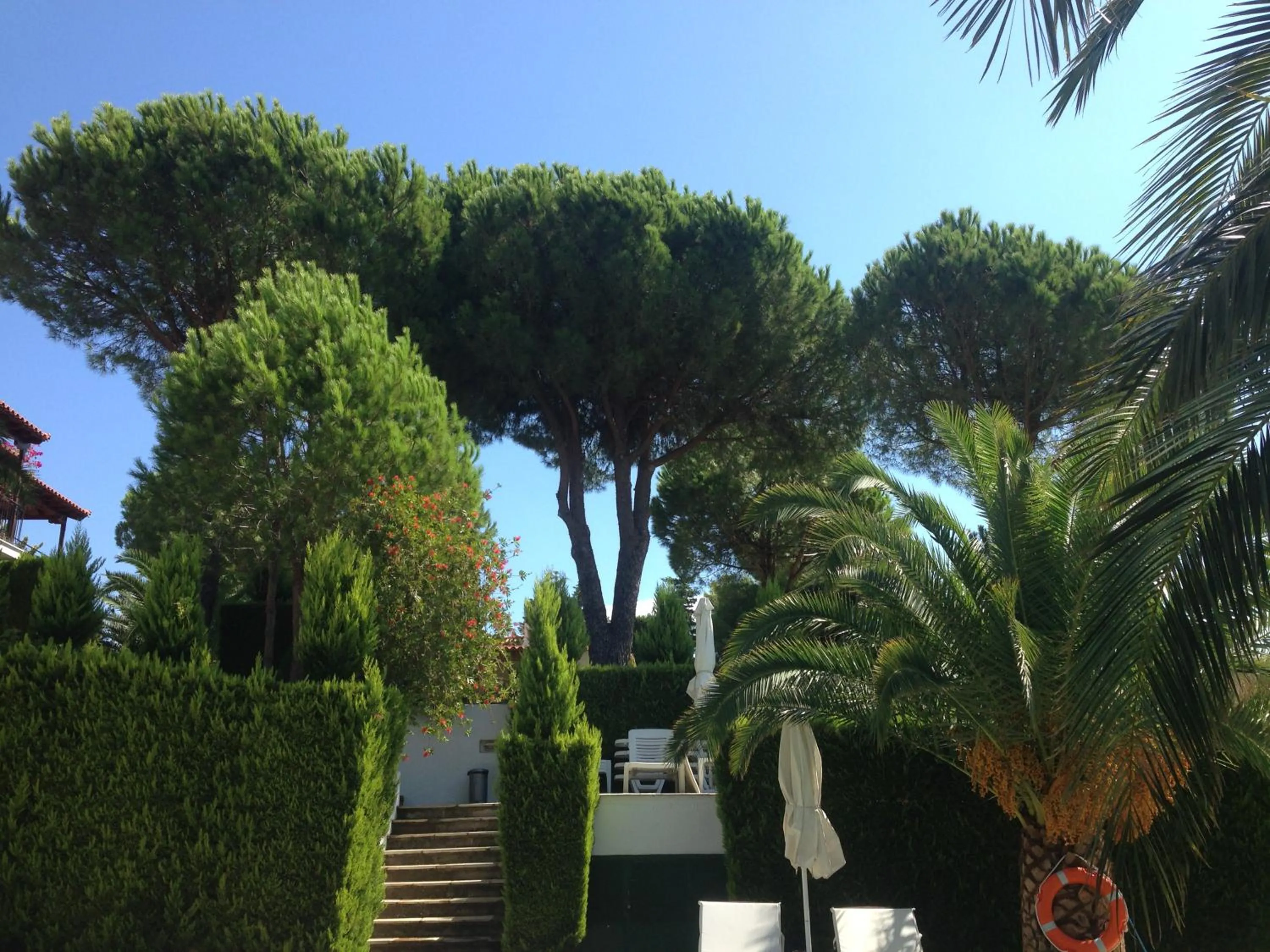 Garden in Villa POLYTIMI