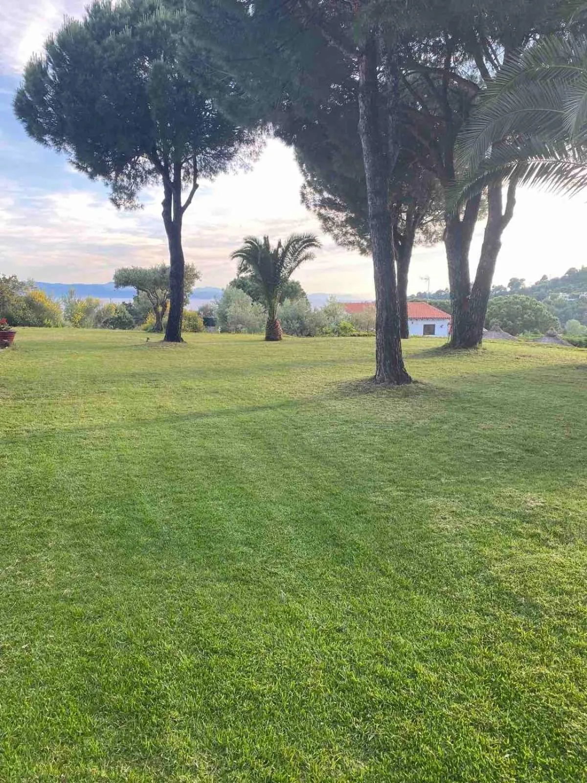 Garden in Villa POLYTIMI