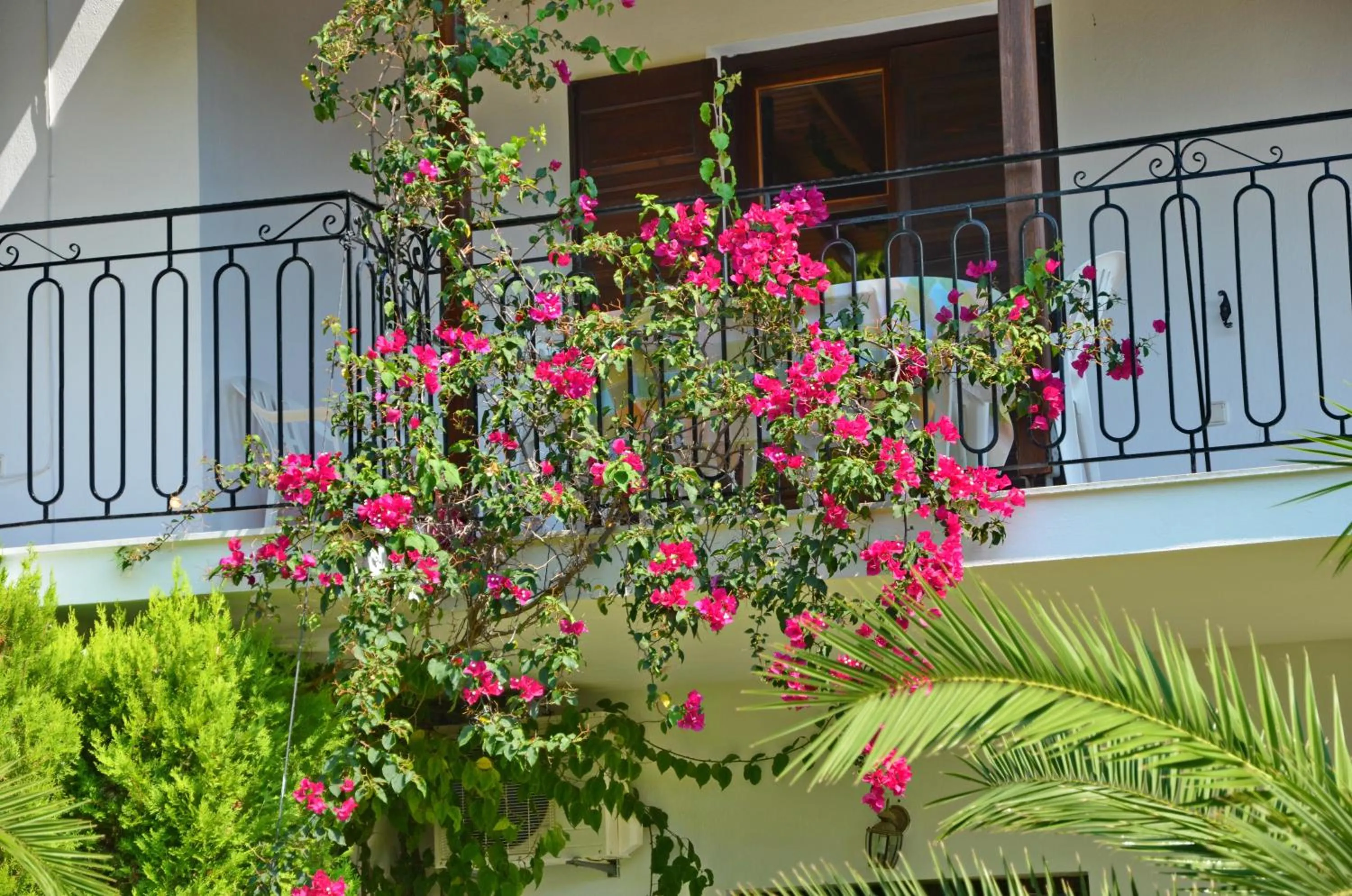 Garden in Villa POLYTIMI