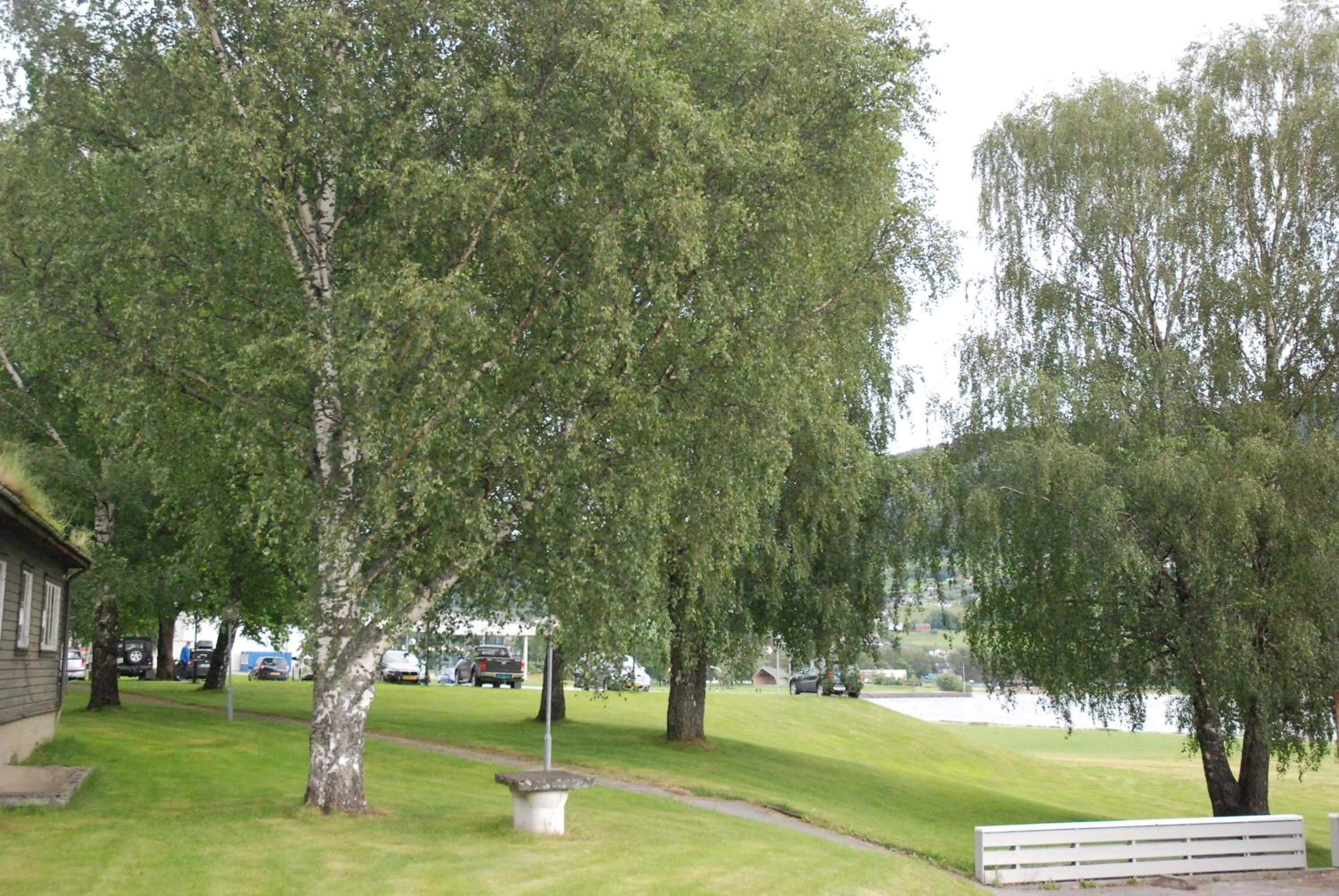 Day in Fleischer's Motel