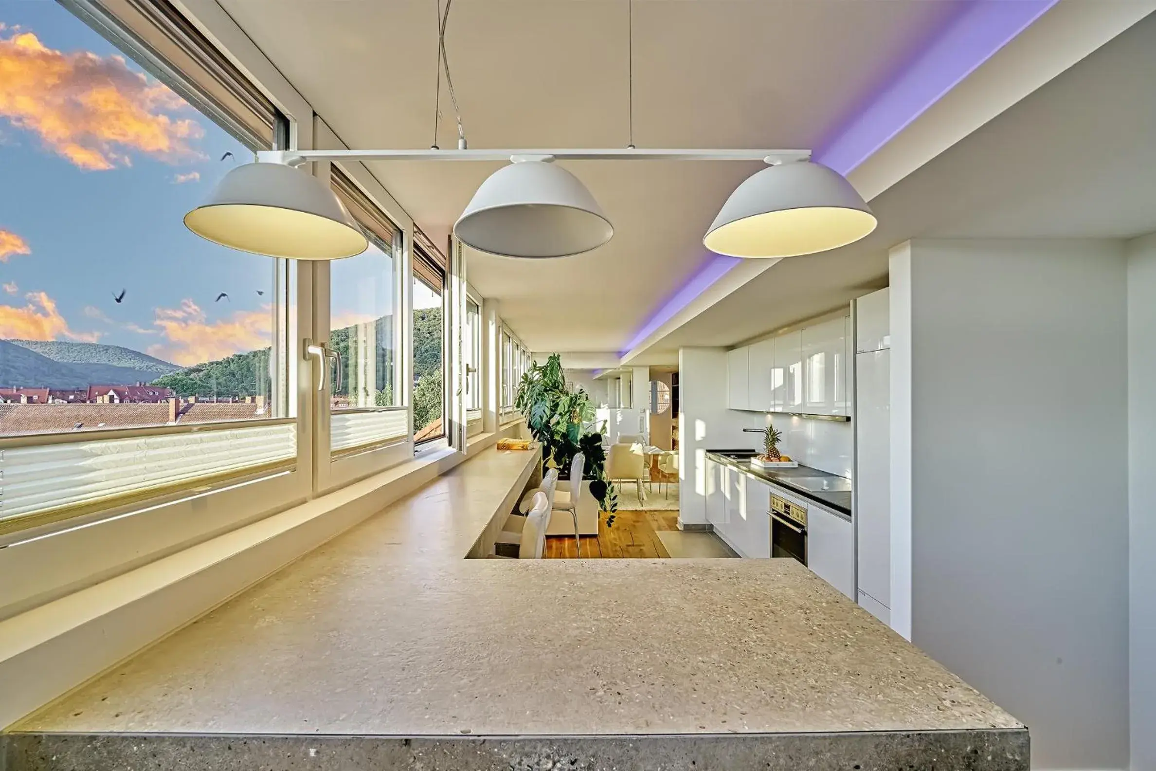 Penthouse Suite with Living/ Dining Room, French Balcony and Whirlpool in Boutique Suites and Residences Heidelberg- Alte Zigarrenmanufaktur Penthouse Suite with Living/ Dining Room, French Balcony and Whirlpool in Boutique Suites and Residences Heidelberg- Alte Zigarrenmanufaktur