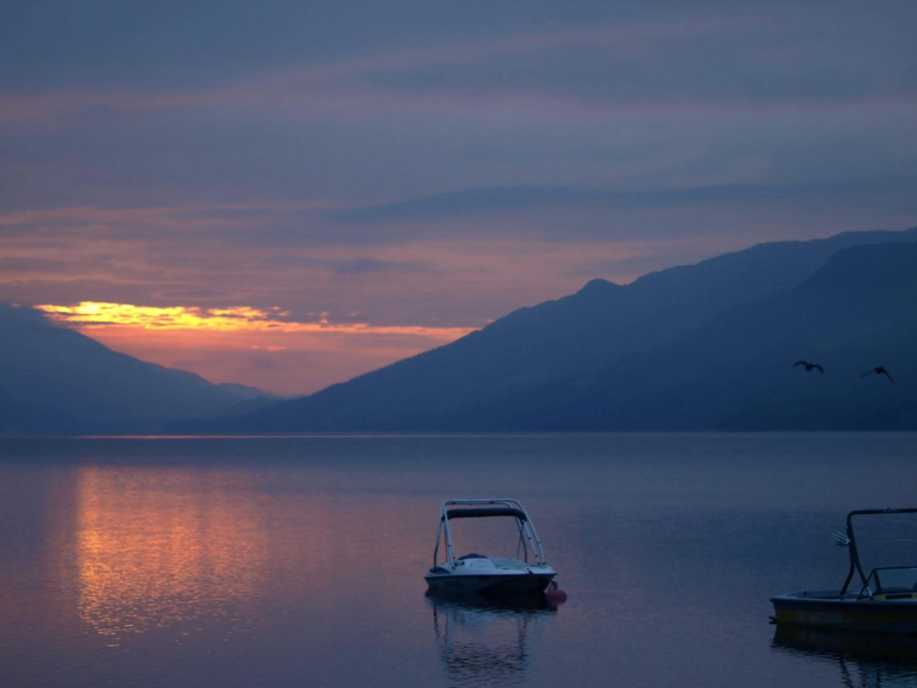 Natural landscape in The Clachan Hotel, Lochearnhead