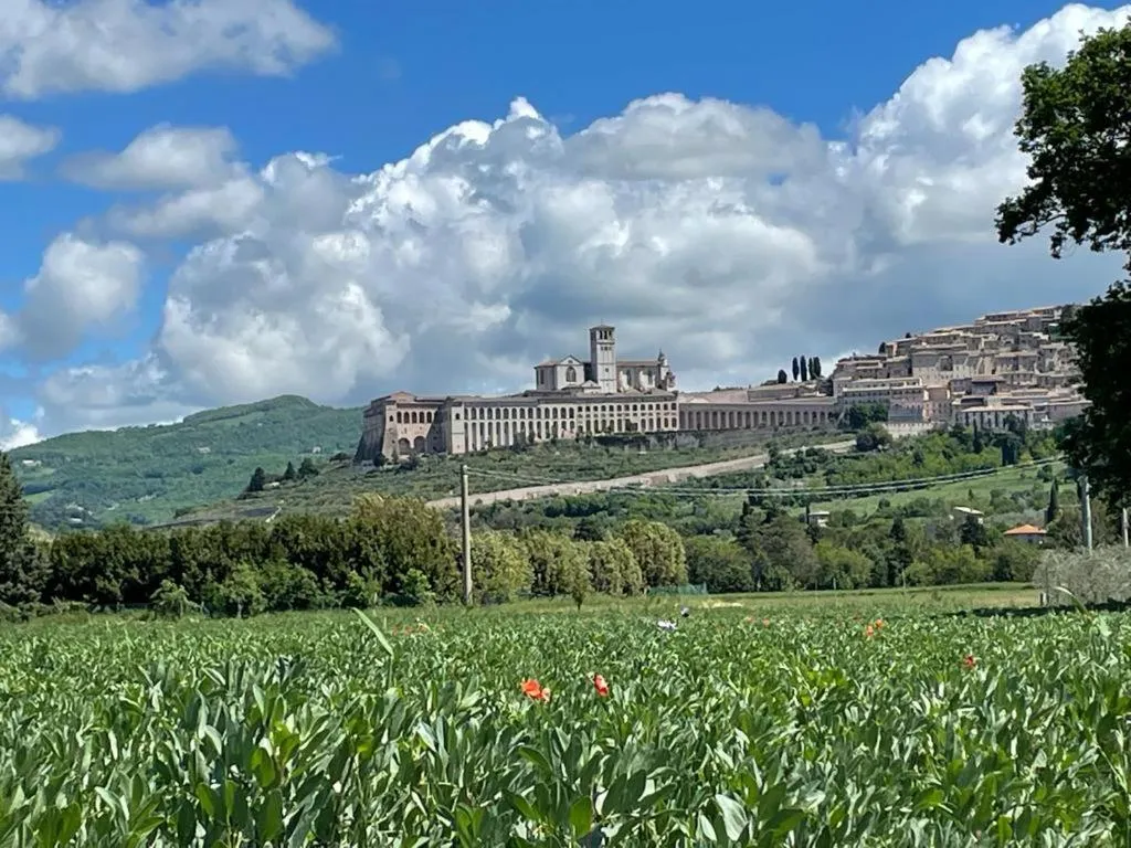 Il Fienile di Assisi
