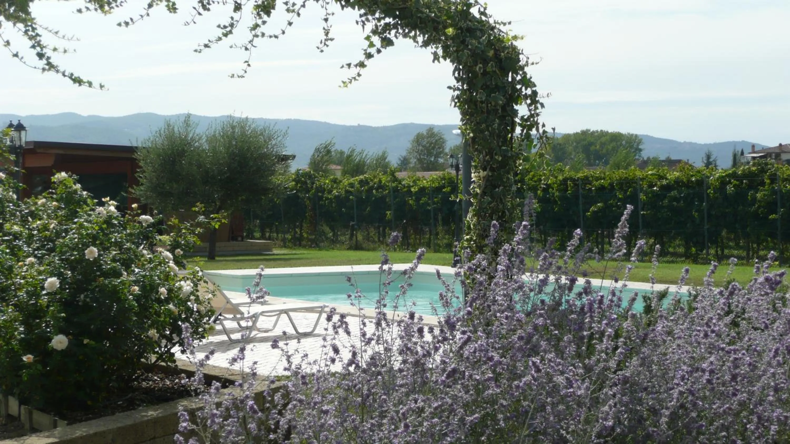 Swimming pool in Il Fienile di Assisi