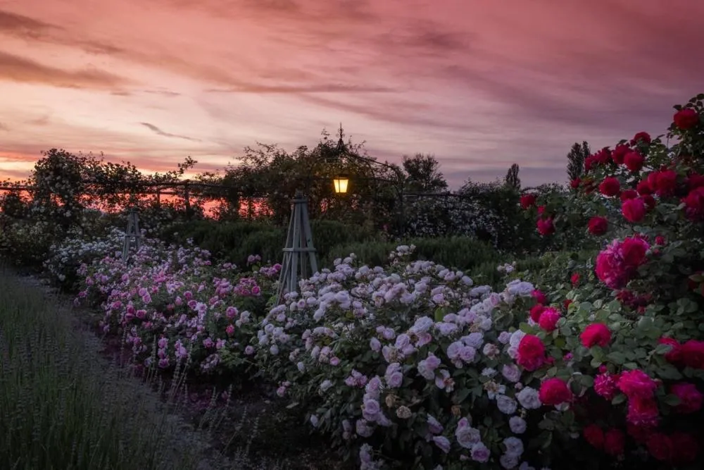 Il Fienile di Assisi