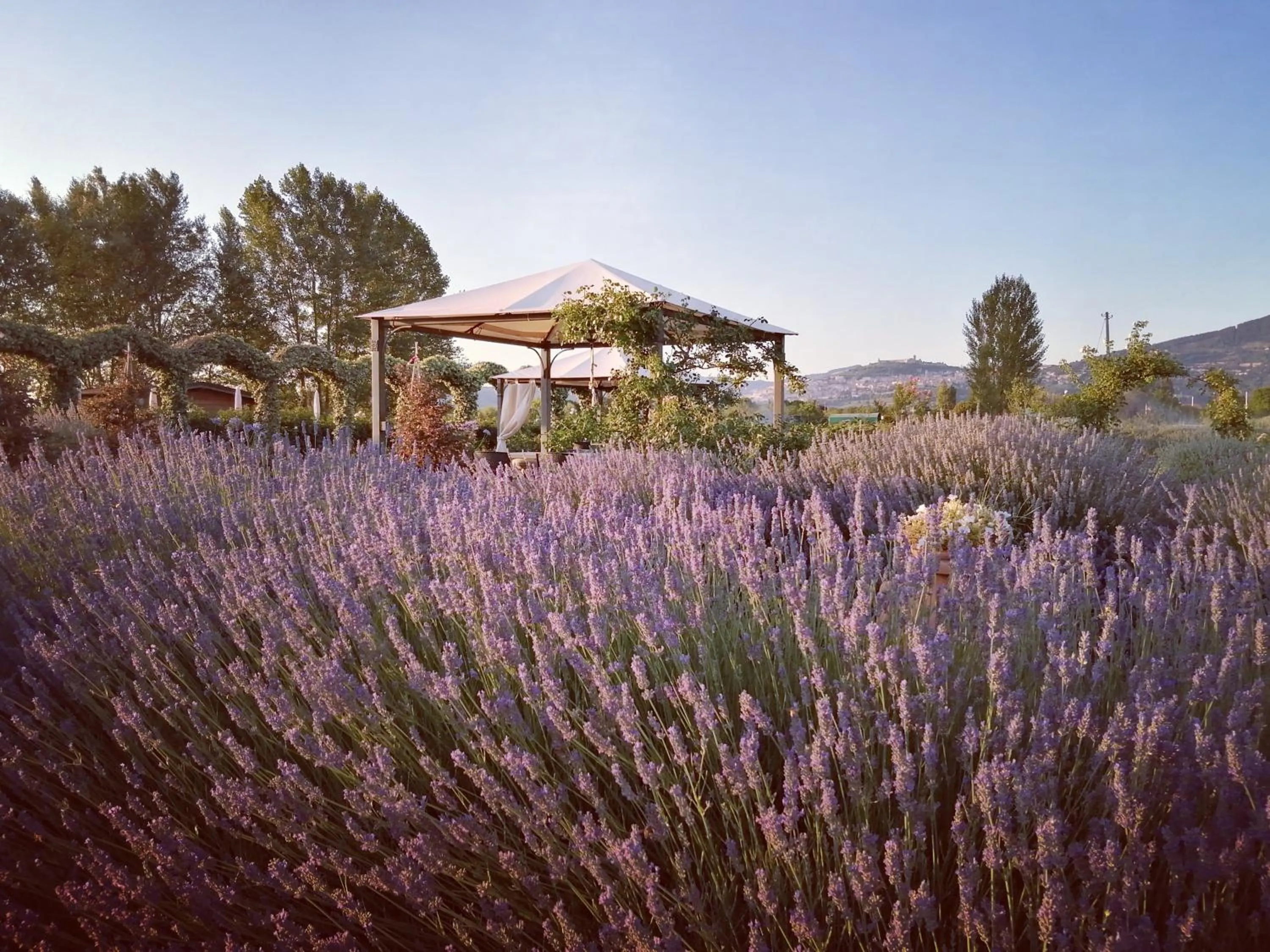 Il Fienile di Assisi
