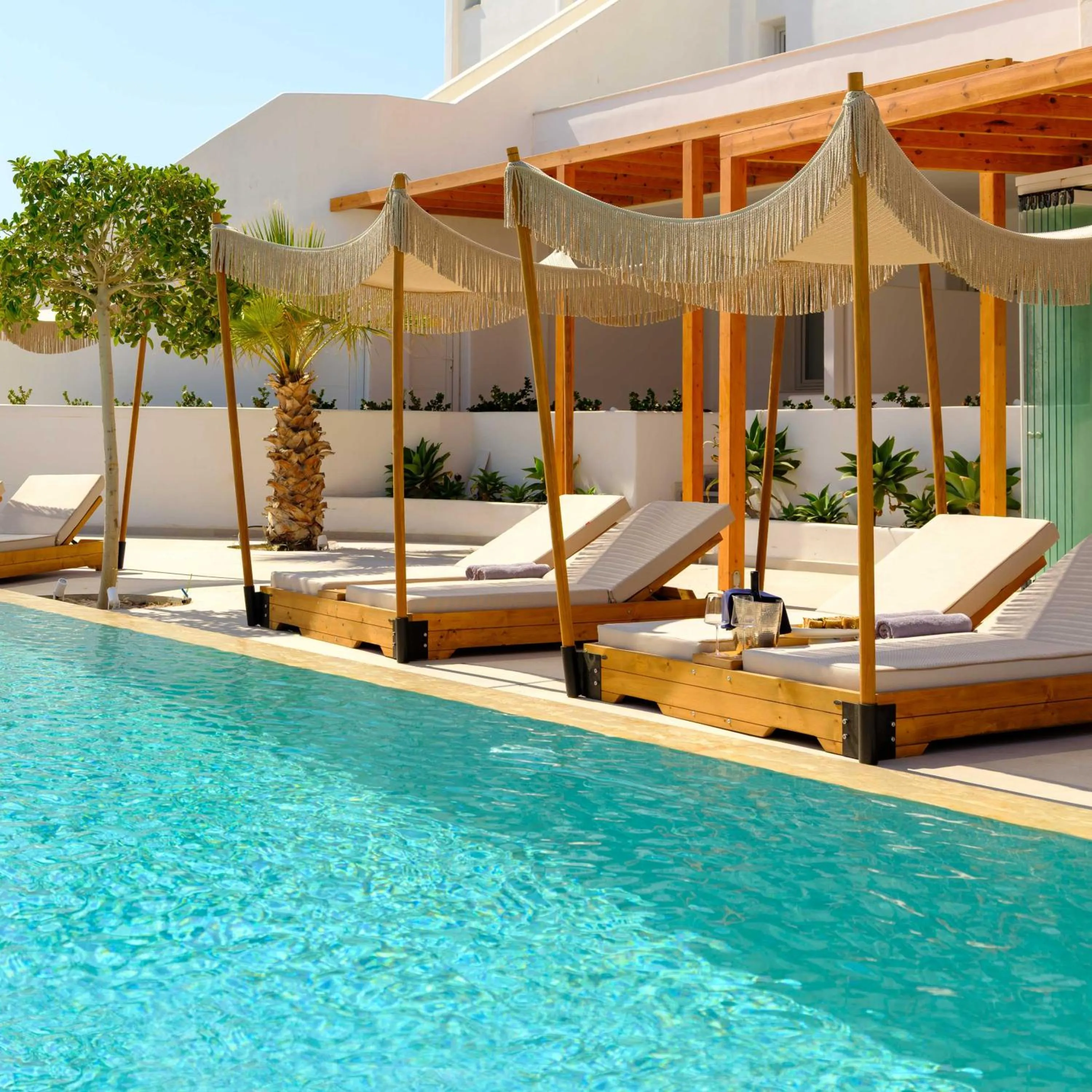 Patio in Safrani Suites