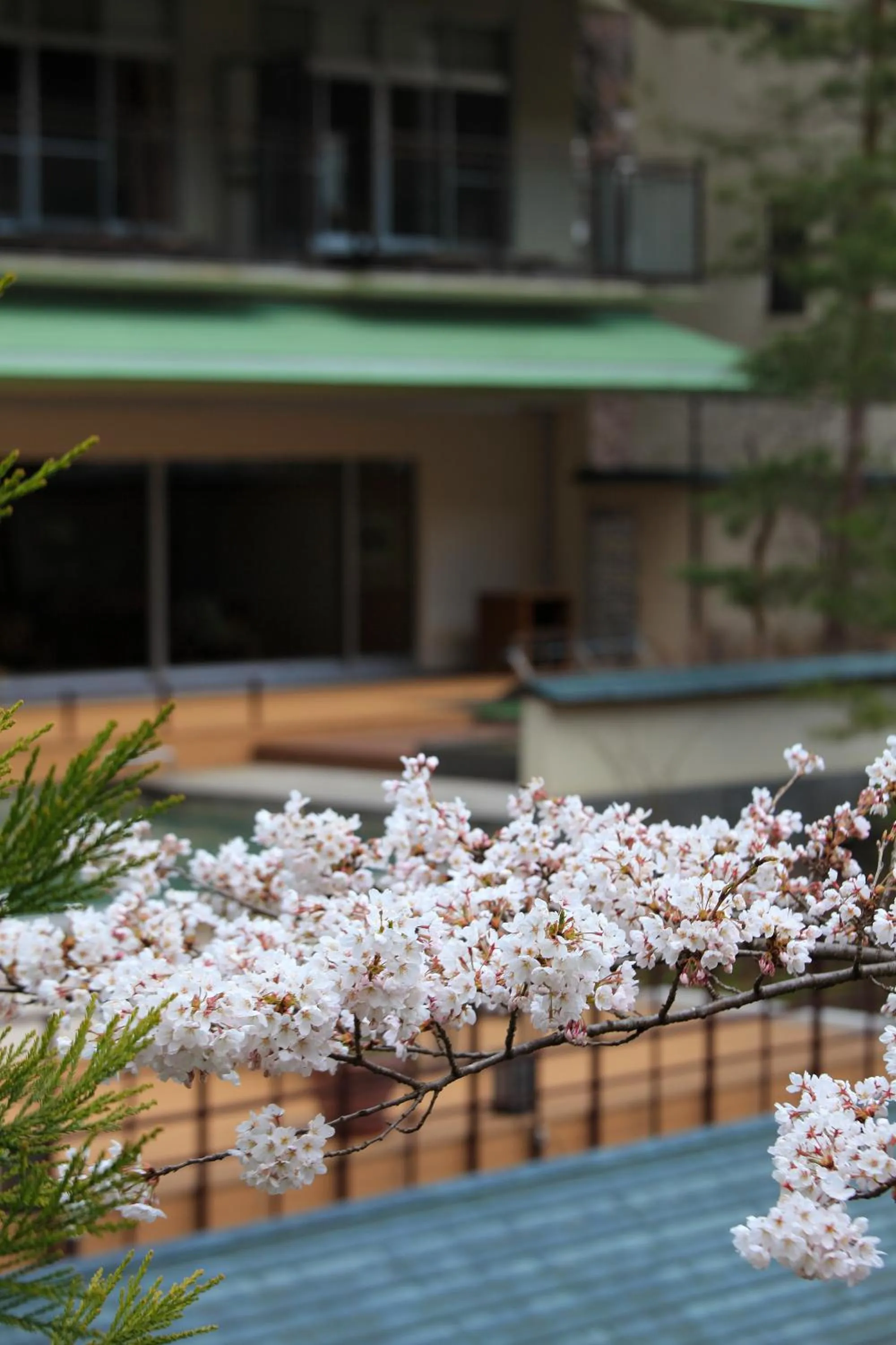 Facade/entrance in Sakunami Onsen Yuzukushi Salon Ichinobo
