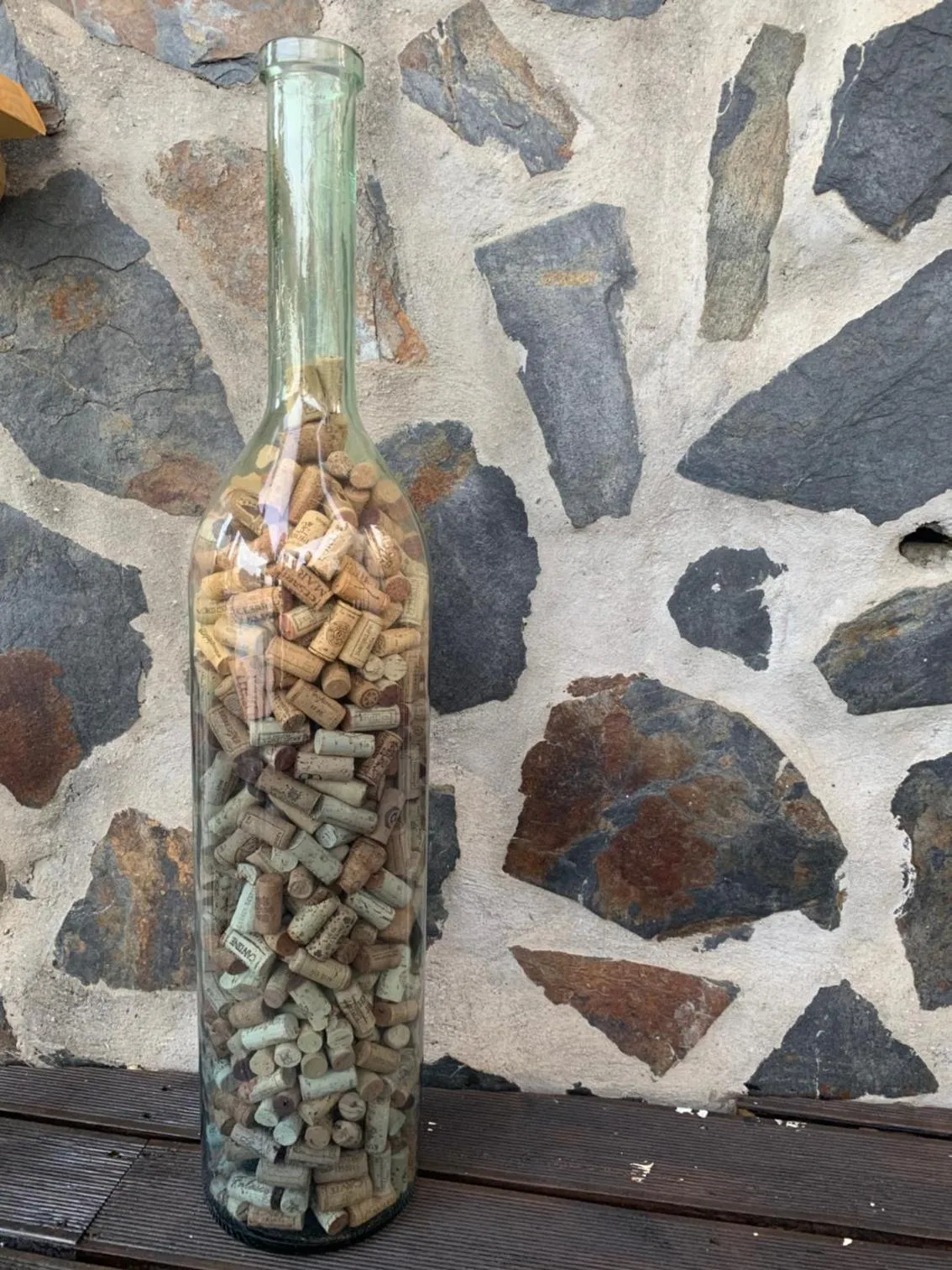 Lounge or bar in Bed And Breakfast Mirador Infinito