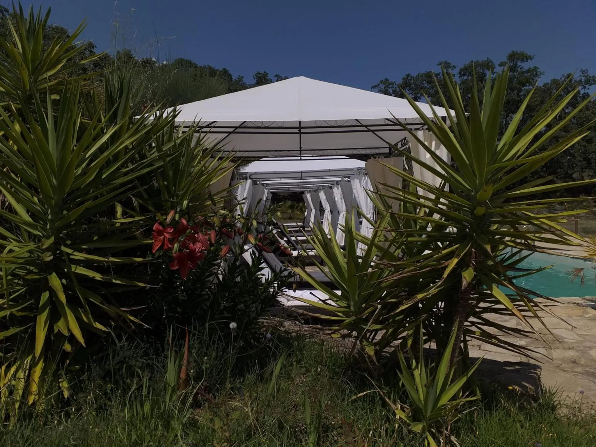 Swimming pool in El Sosiego