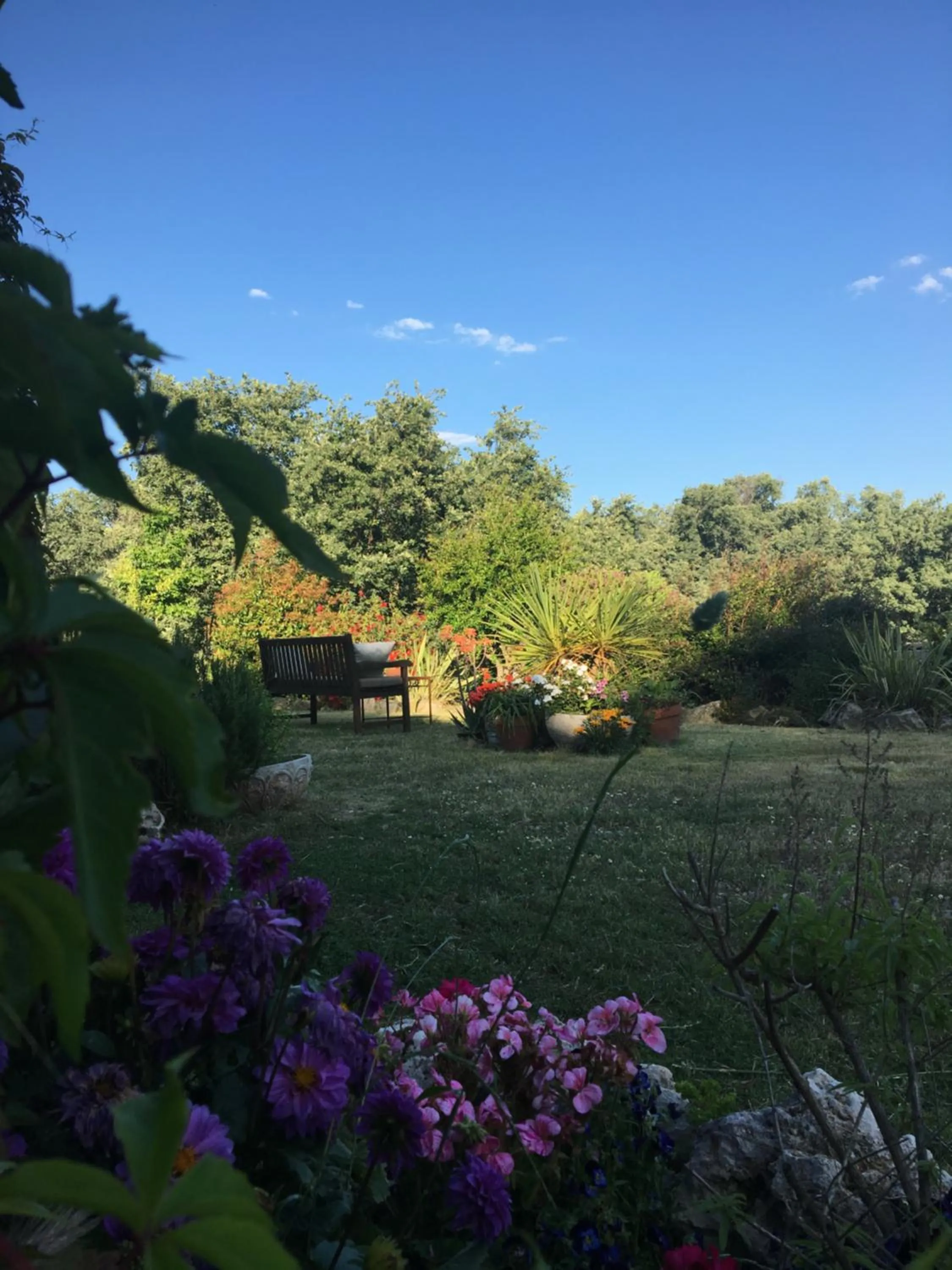 Garden view in El Sosiego