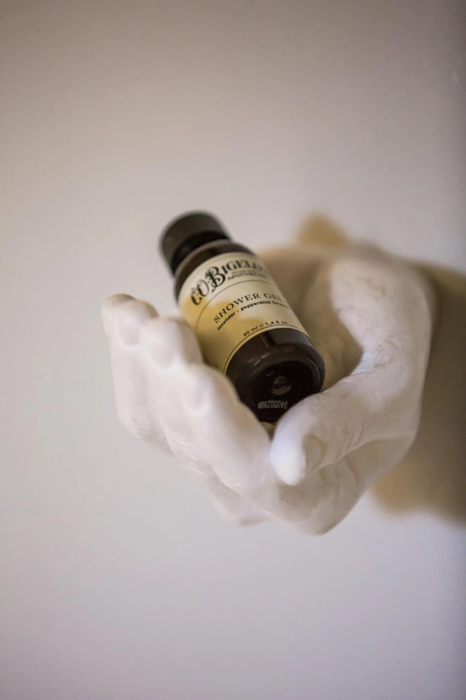 Decorative detail in AdAstra Suites