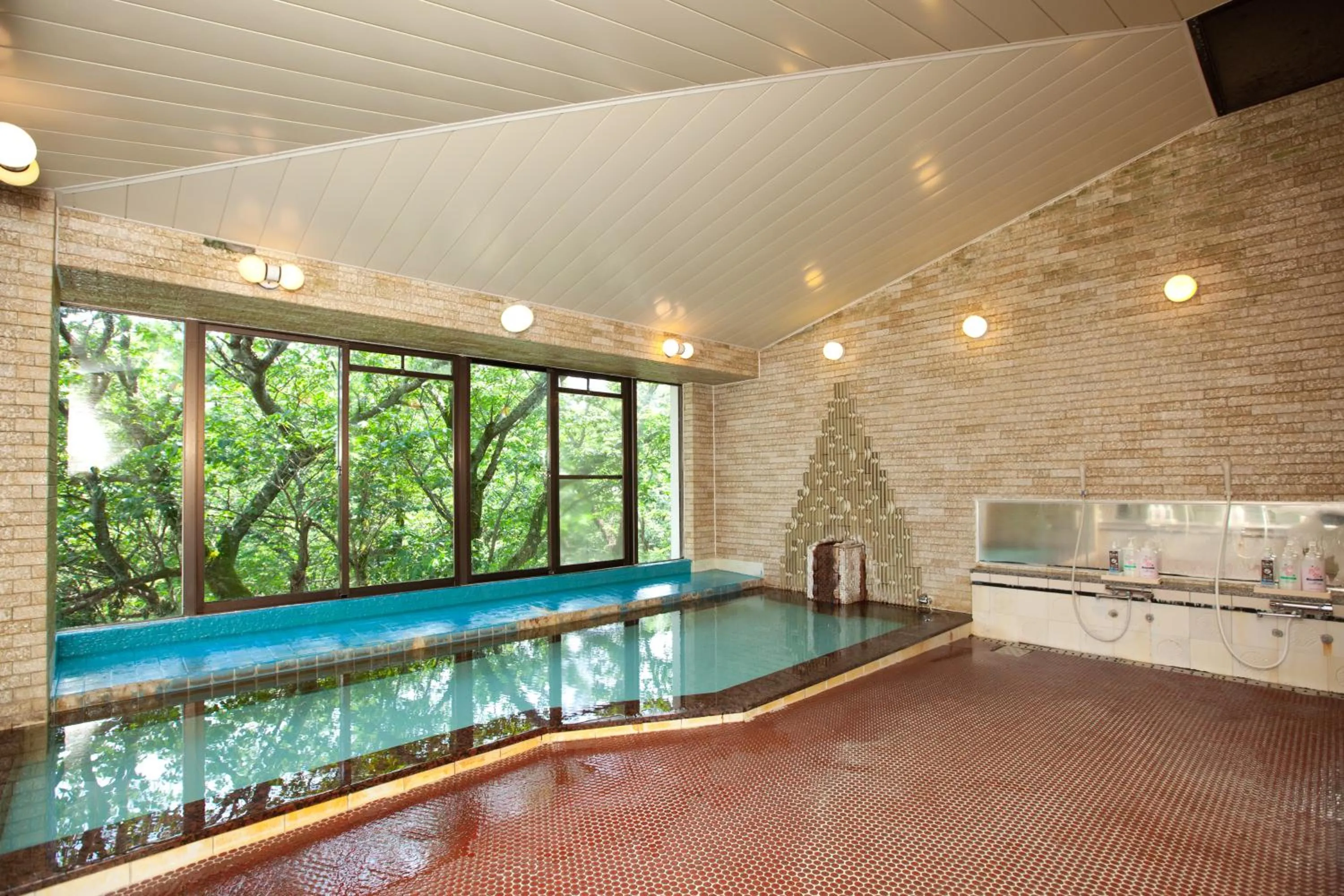 Hot Spring Bath in Izu Ippeki Lake Lakeside Terrace