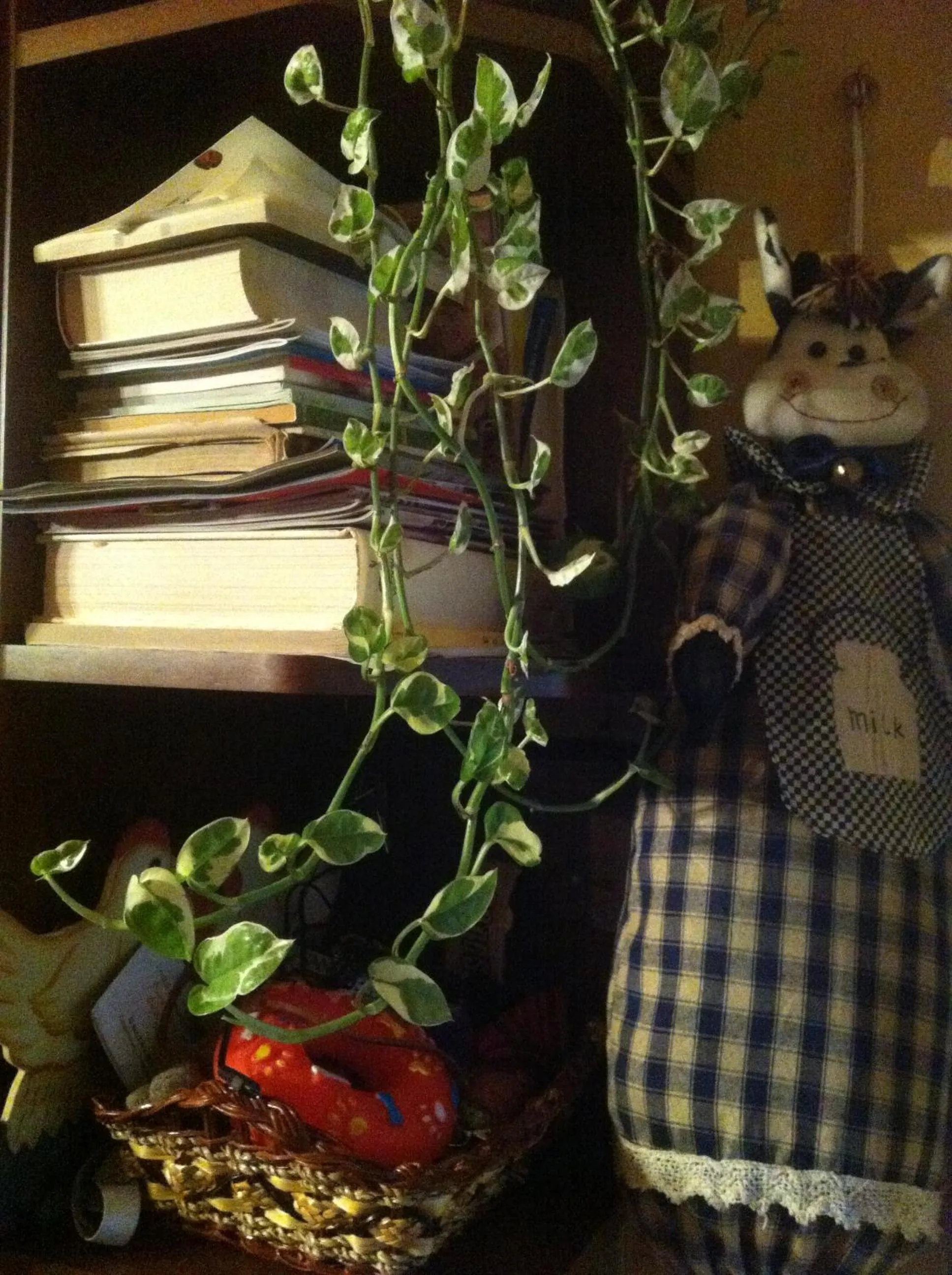 Property building in A Casa di Susi