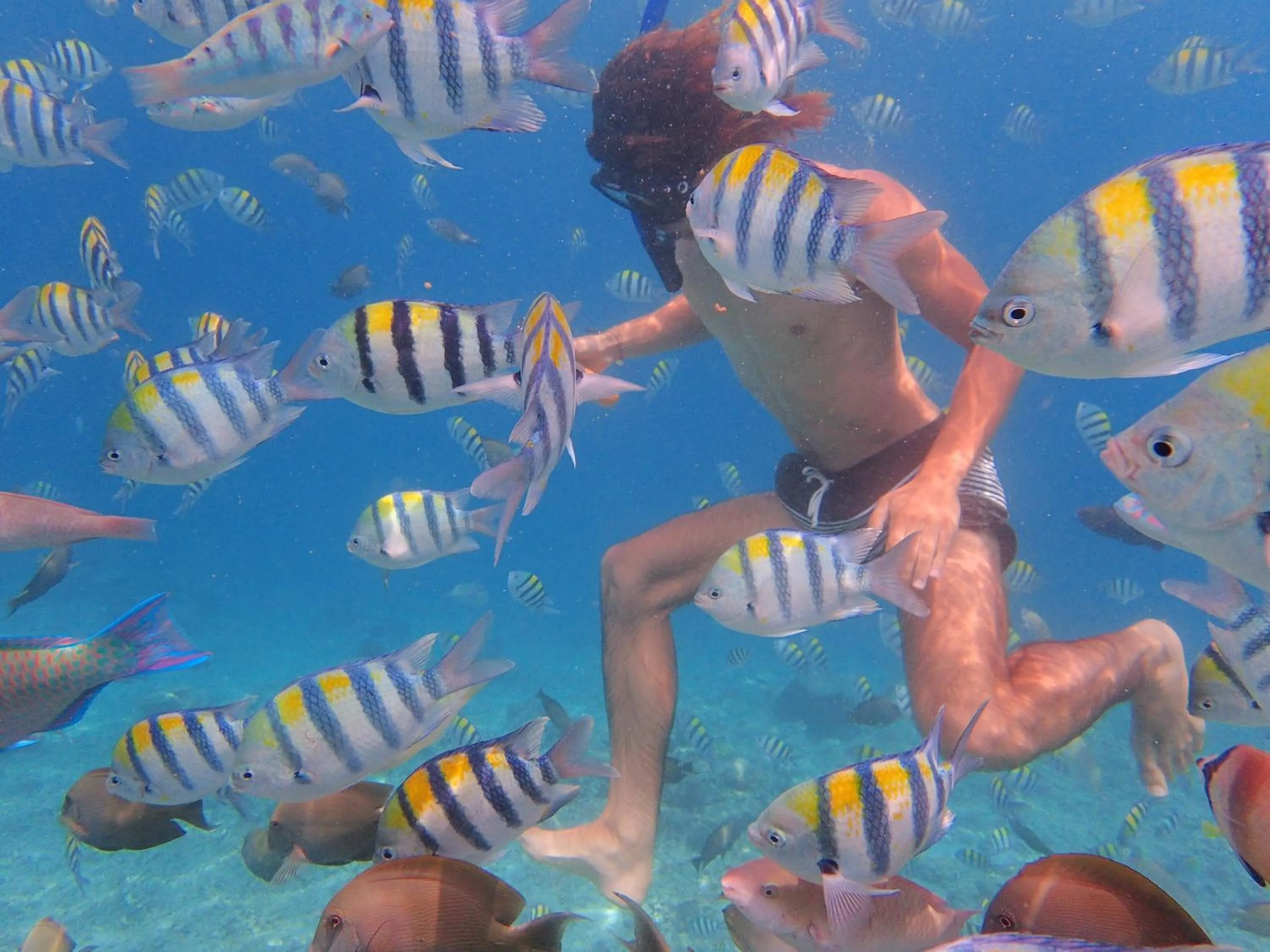 Off site in Villa Gili Bali Beach