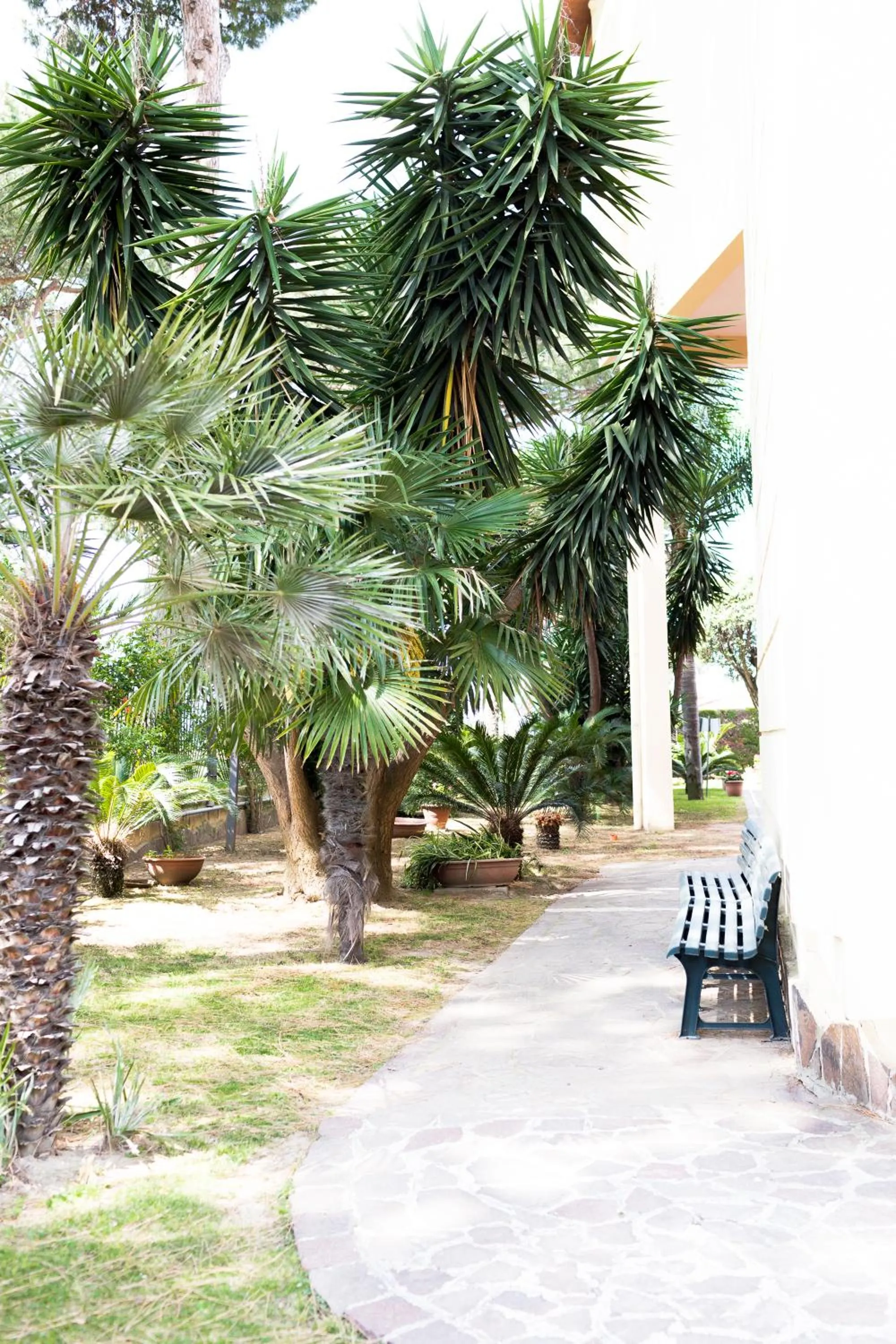 Garden in Hotel Agora Sure Hotel Collection by Best Western