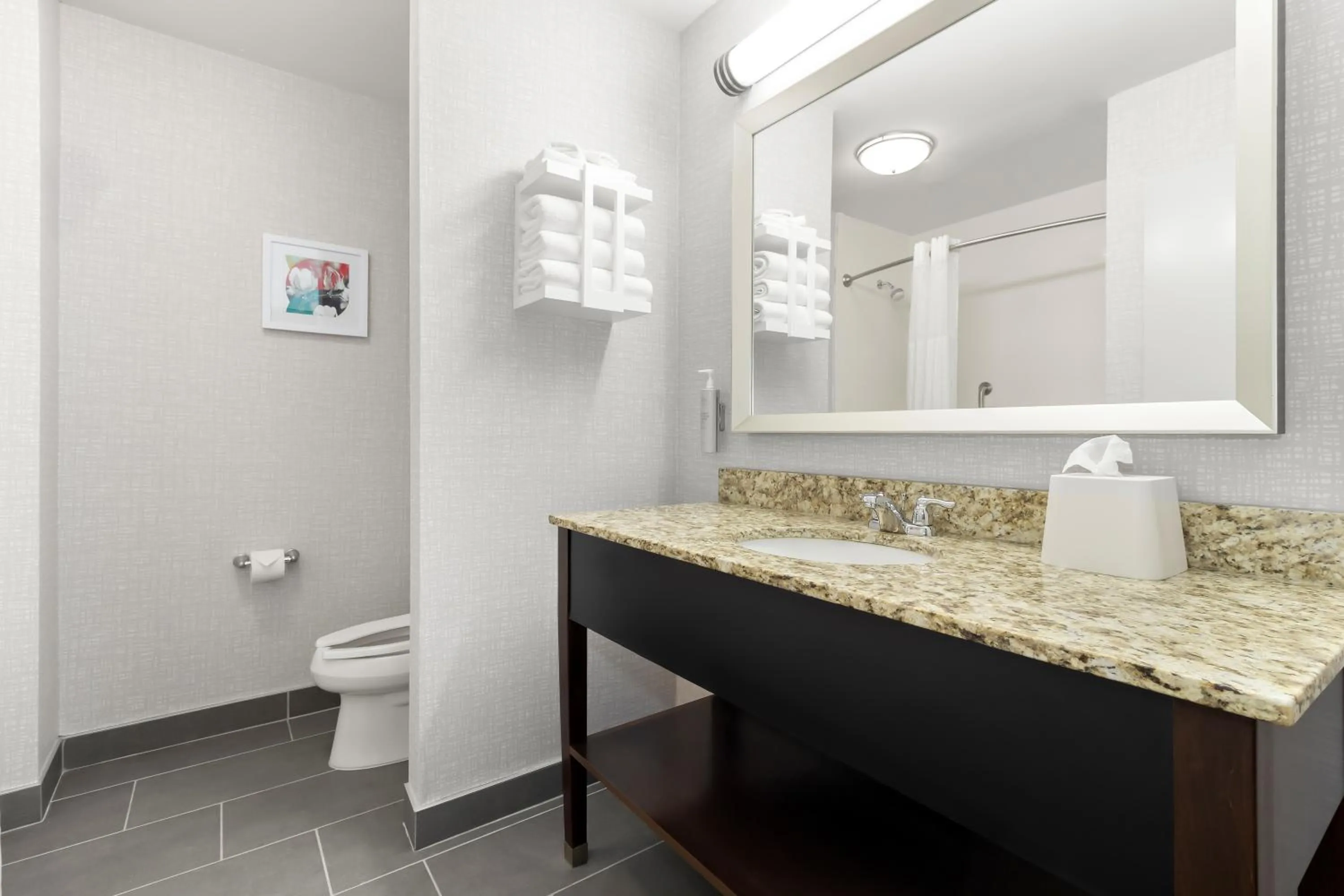 Bathroom in Hampton Inn & Suites - Hartsville, SC