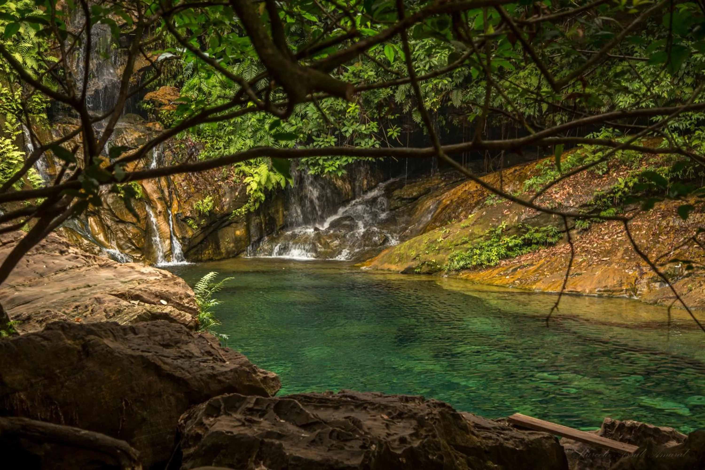 Off site in New Center Hotel