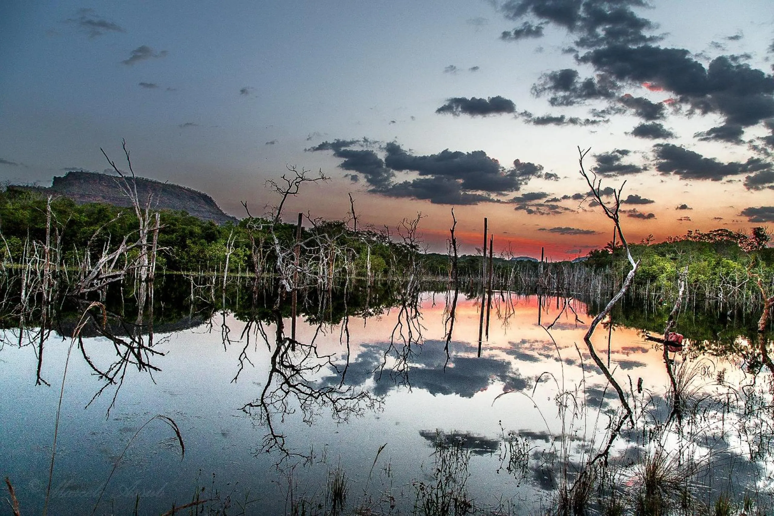 Off site in New Center Hotel