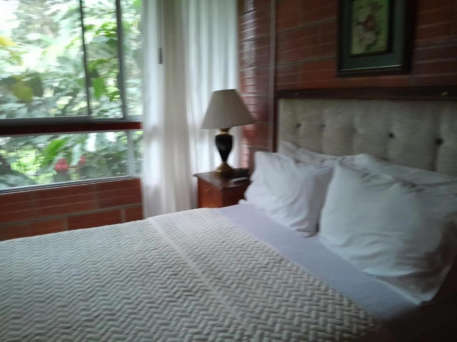 Bed in Hosteria Florecer