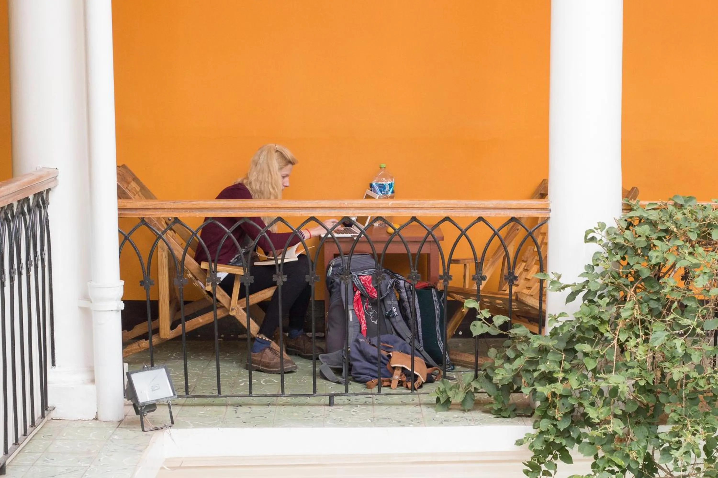 Guests in Colors House