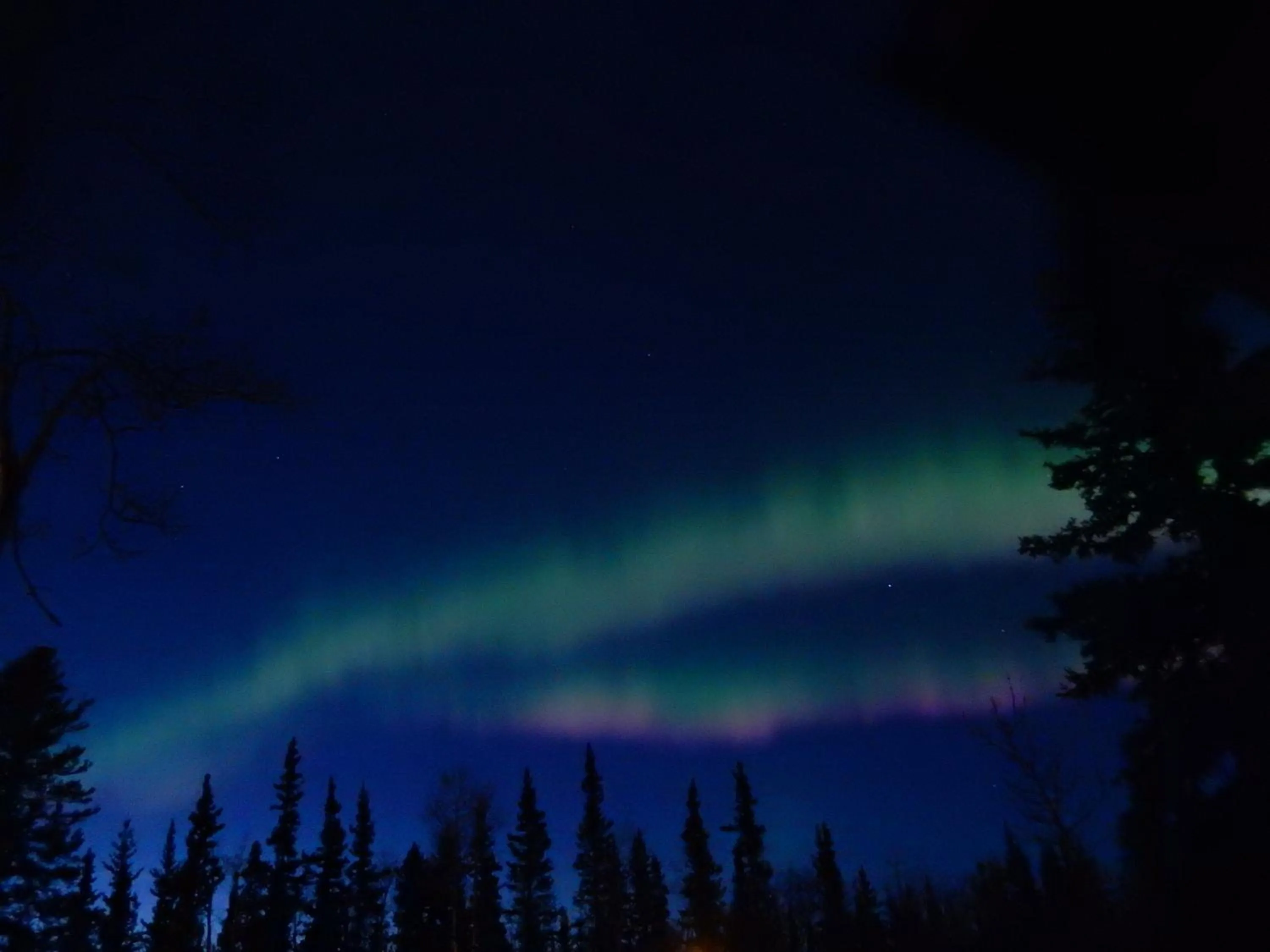 Night in Wanderer's Inn Backpackers Hostel