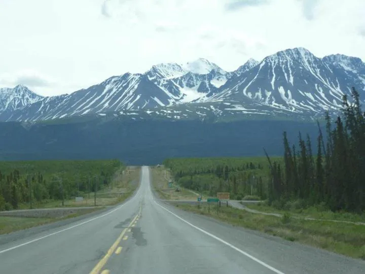 Spring in Wanderer's Inn Backpackers Hostel