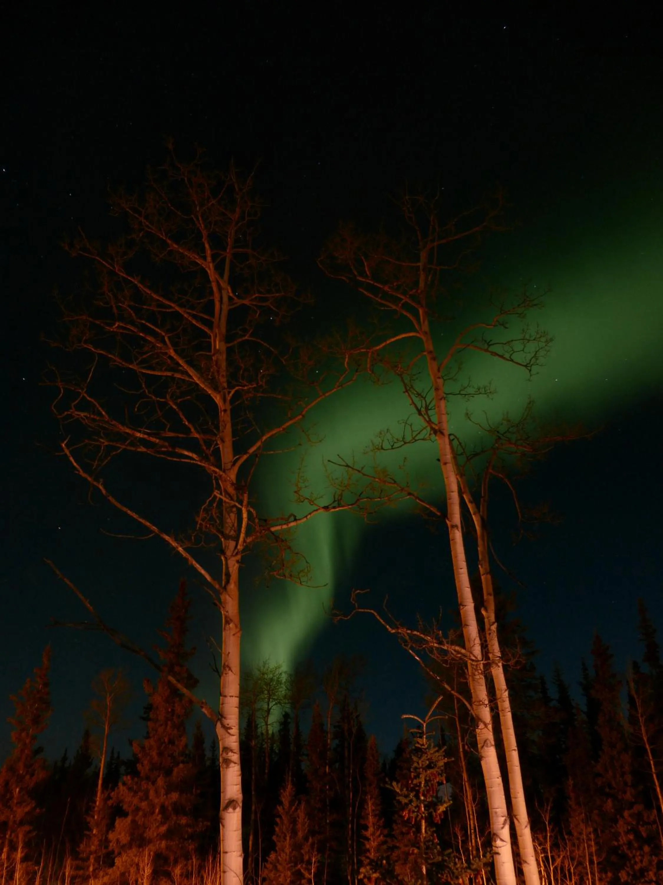 Natural landscape in Wanderer's Inn Backpackers Hostel