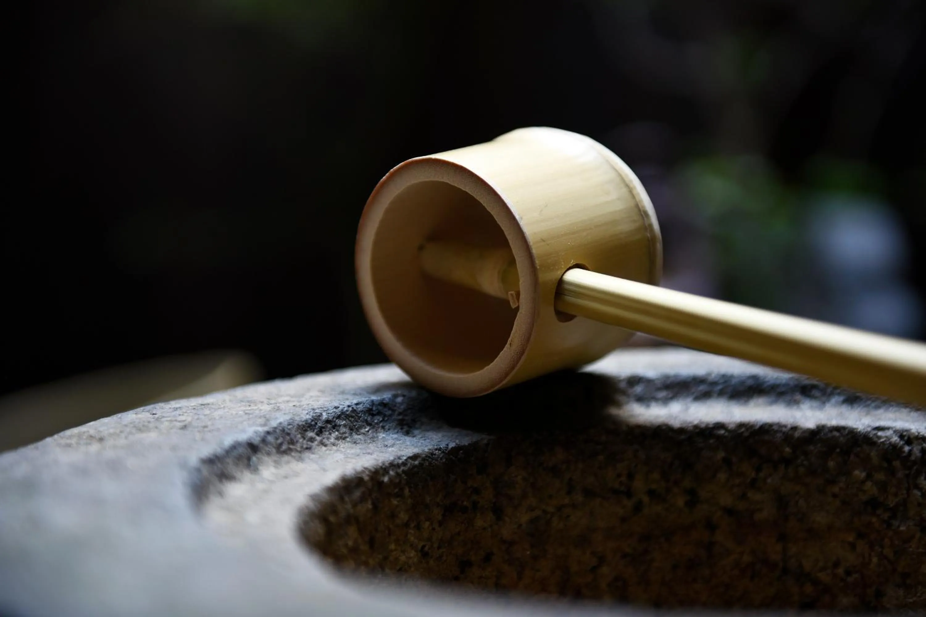 Garden in Kuraya Omiya Shimabara