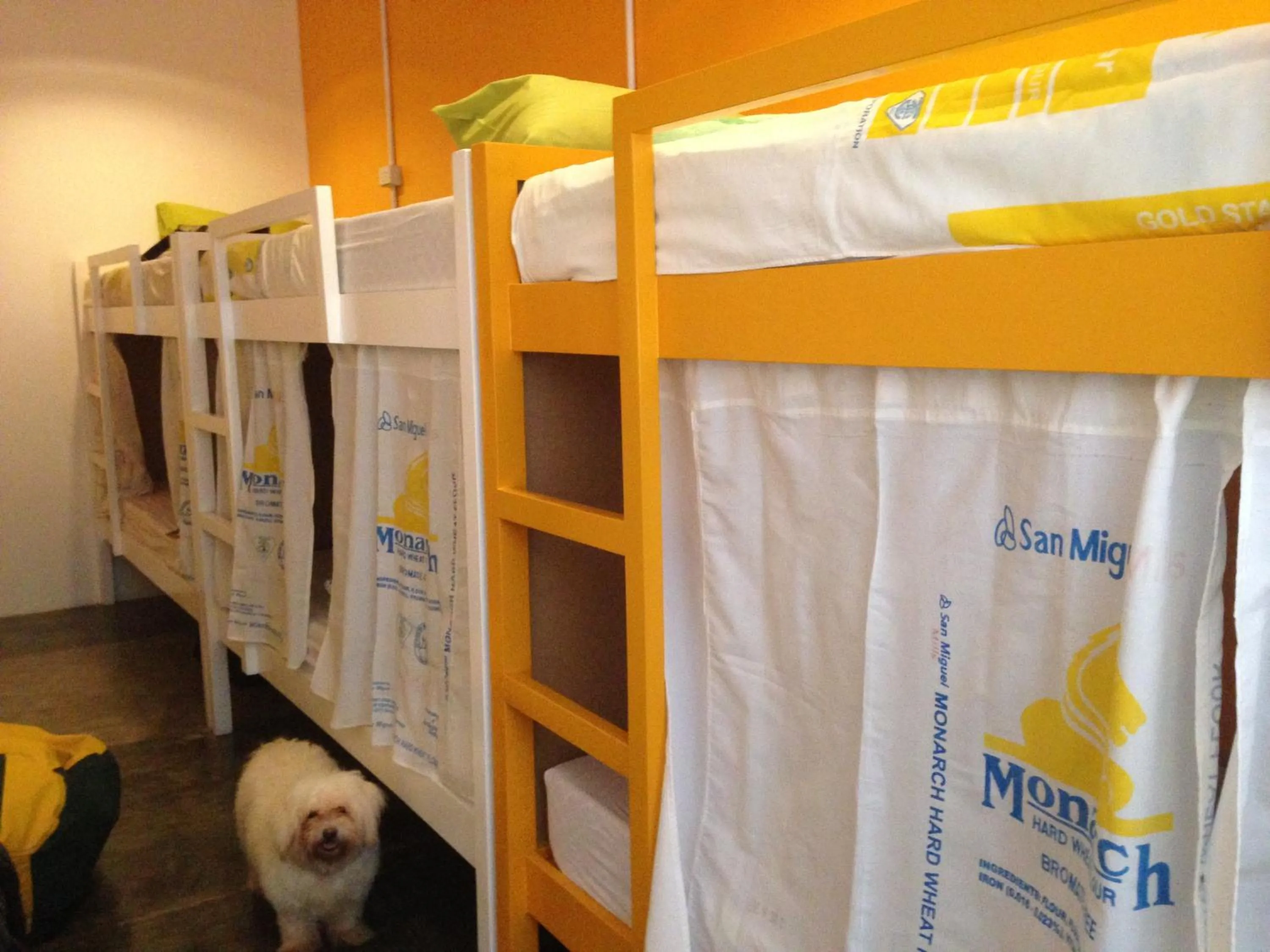 Pets, Bed in Moon Fools Hostel
