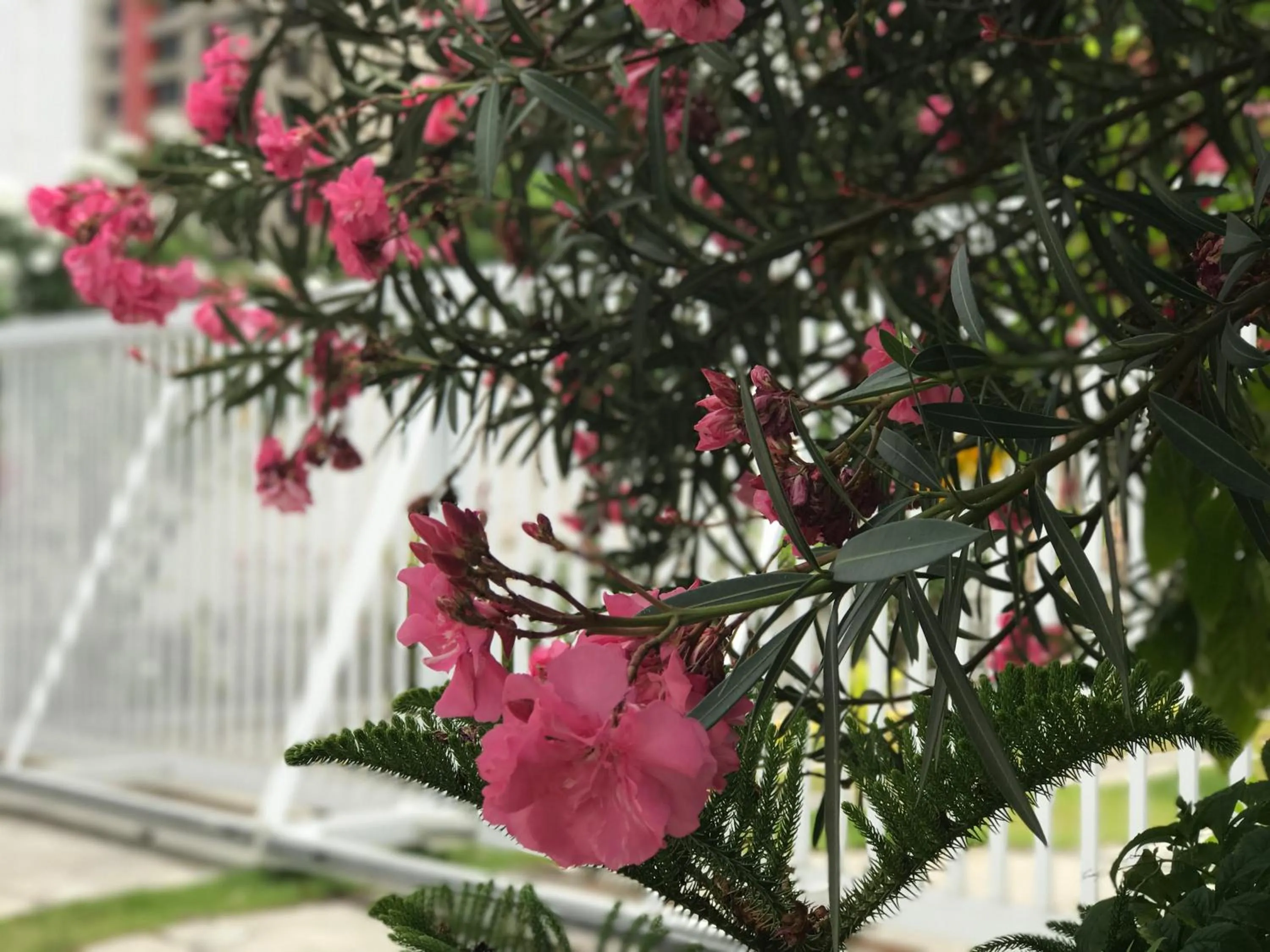 Property building in Scenarium Hotel