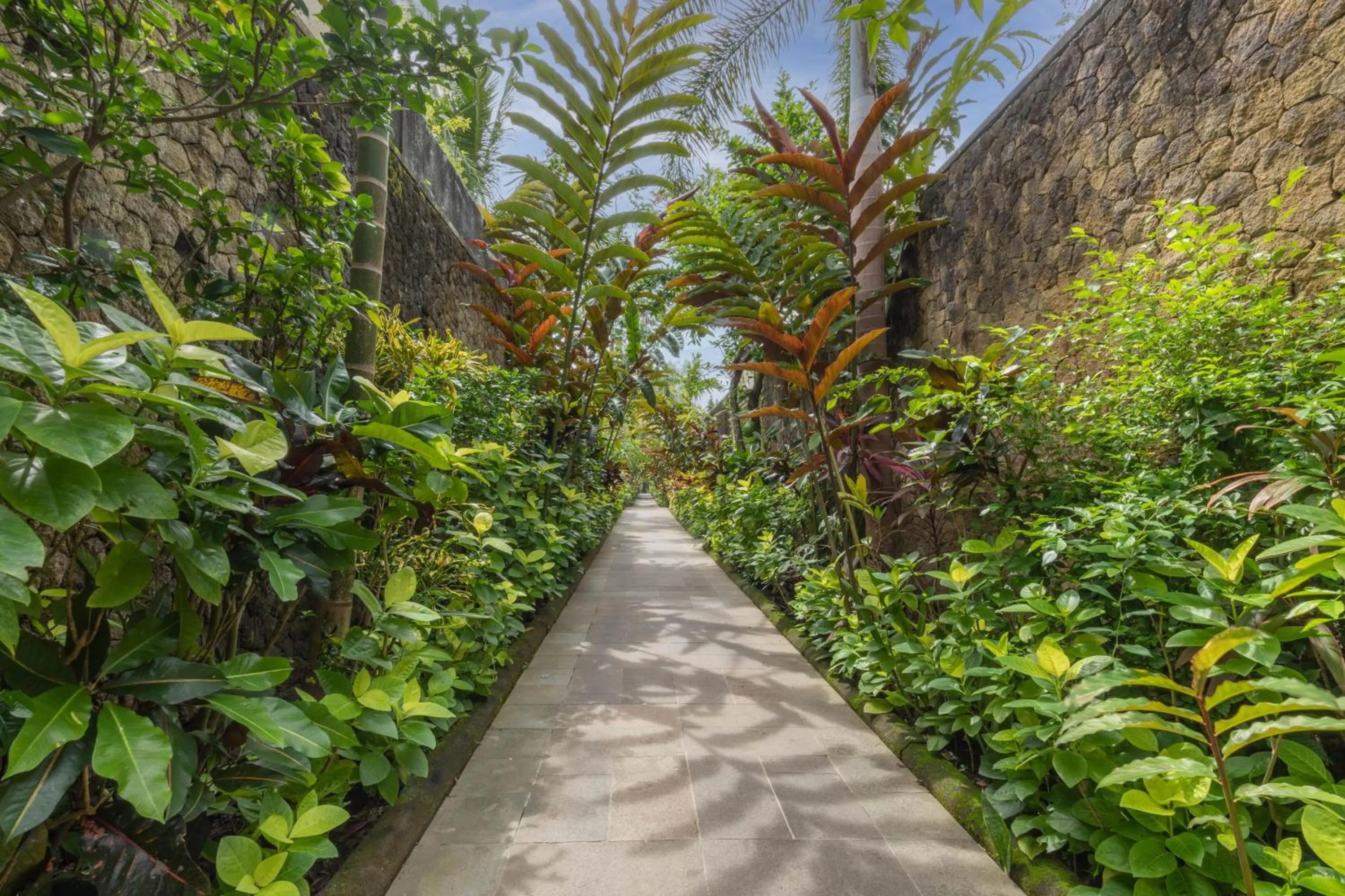 Garden in The Leaf Jimbaran