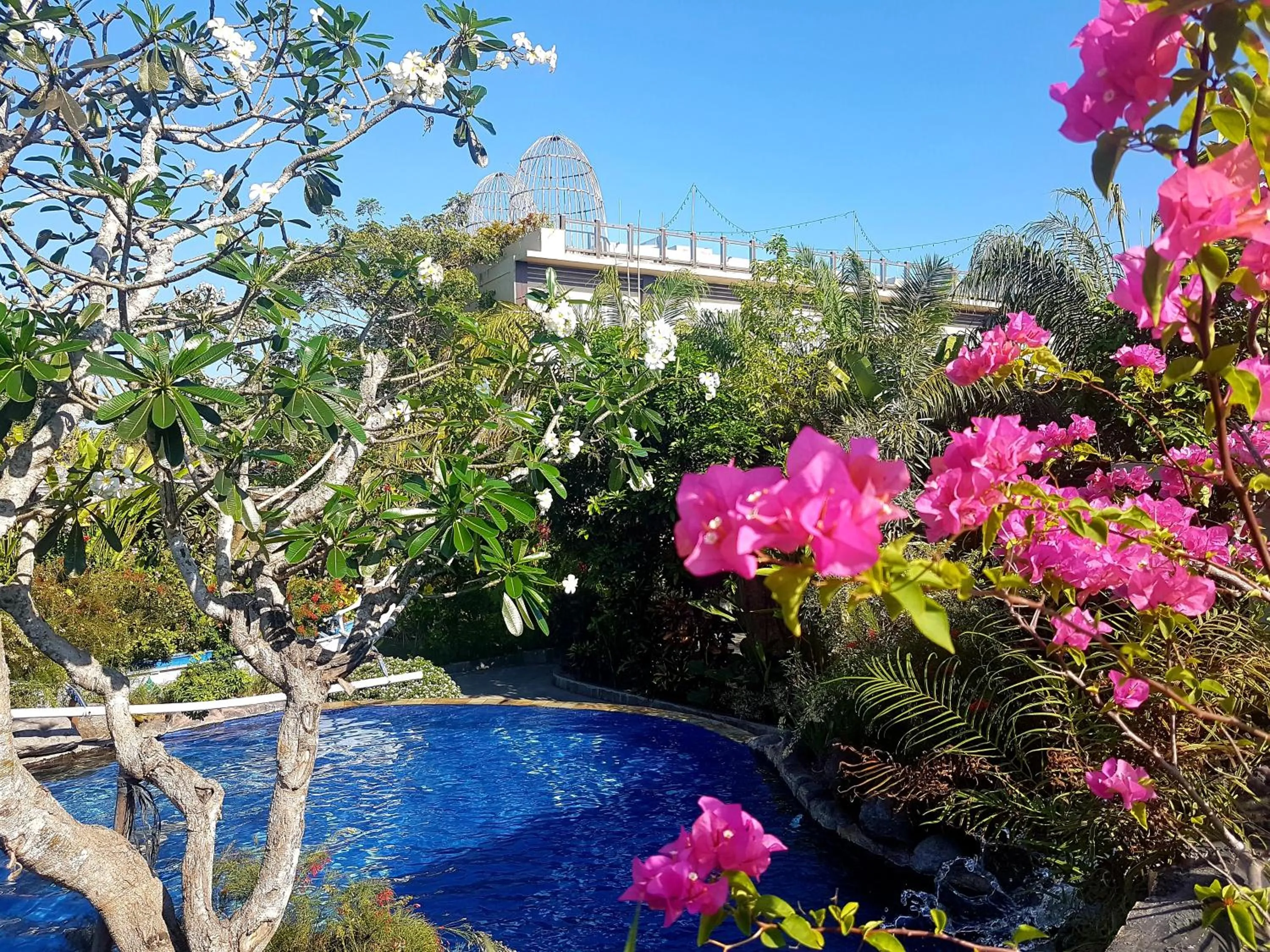 Swimming pool in The Leaf Jimbaran