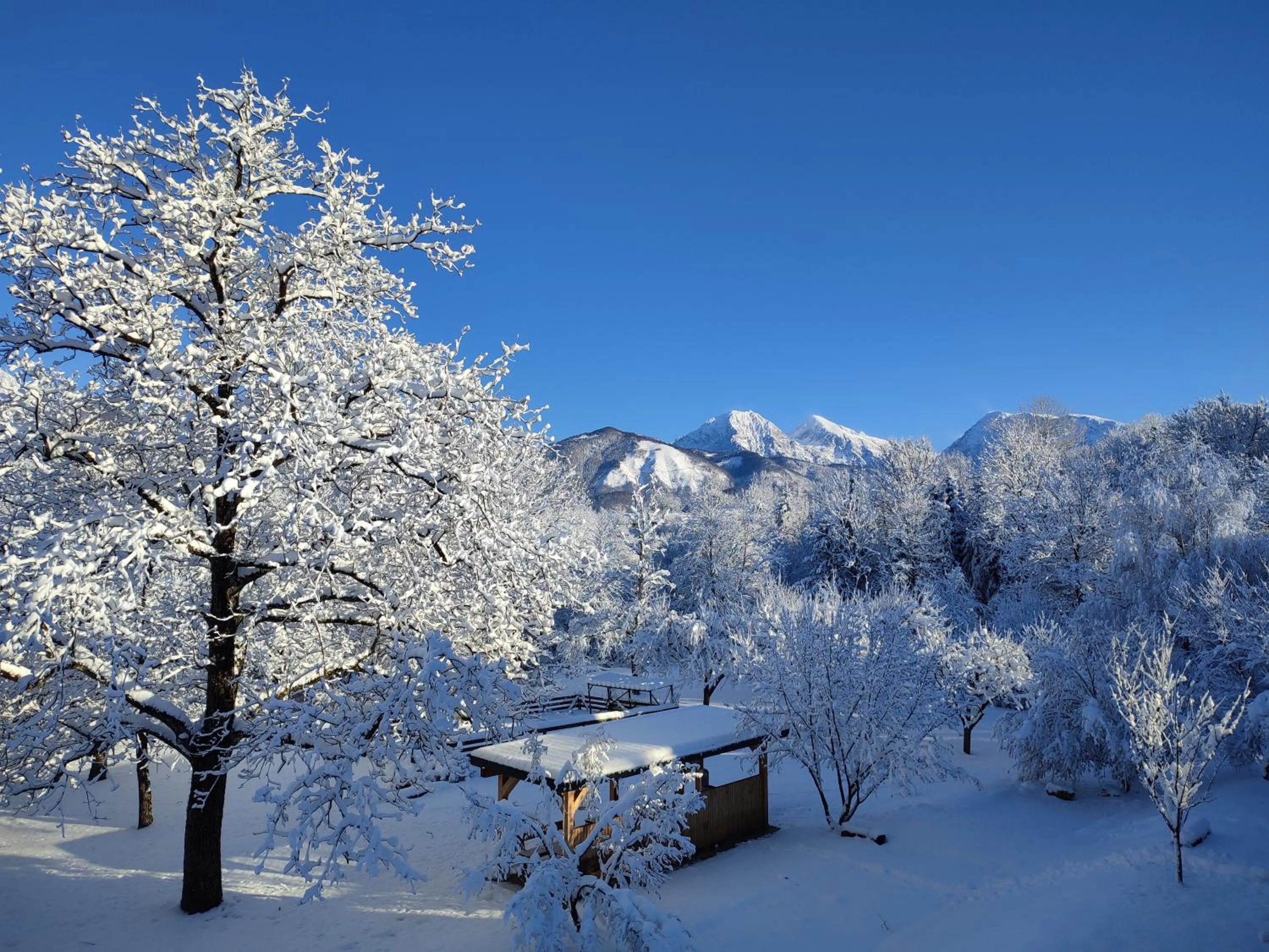 Garden in PR`FIK Apartments