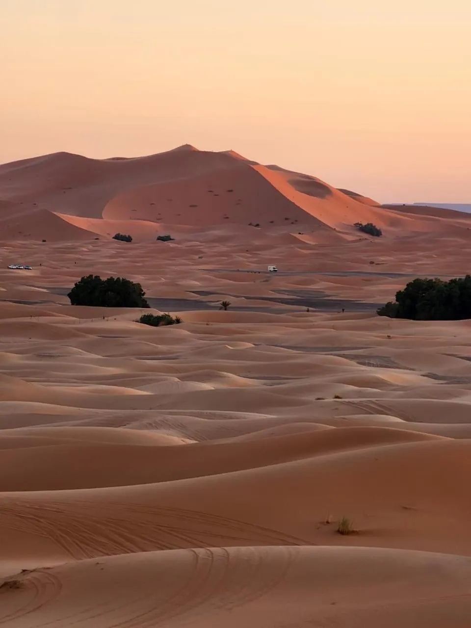 Facade/entrance in Hotel Berber Palace Merzouga