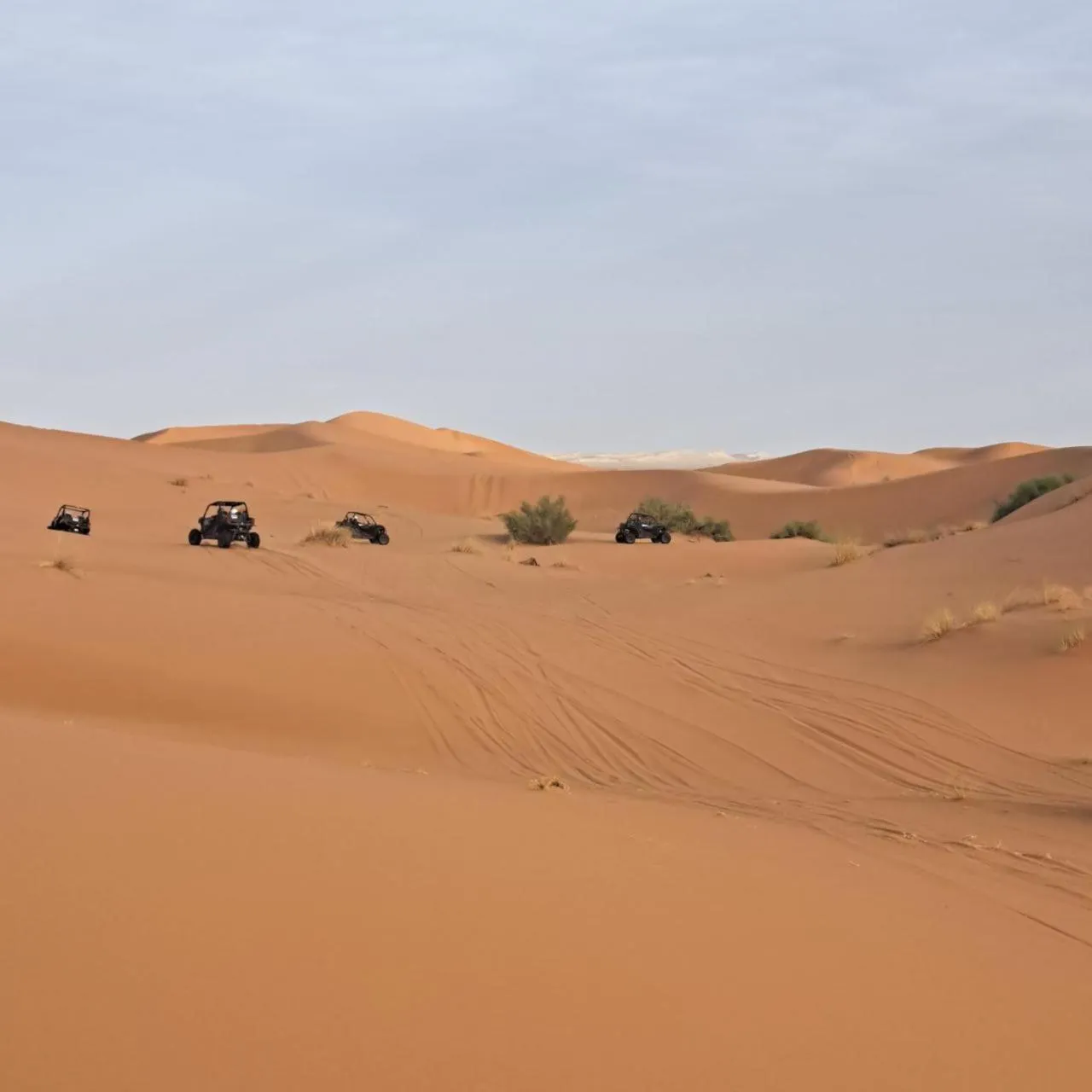 Day in Hotel Berber Palace Merzouga