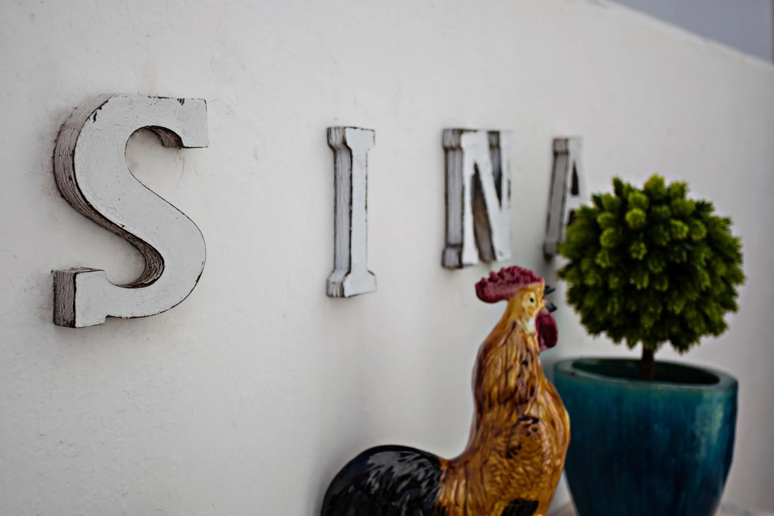 Decorative detail in Baixa Terrace Hostel